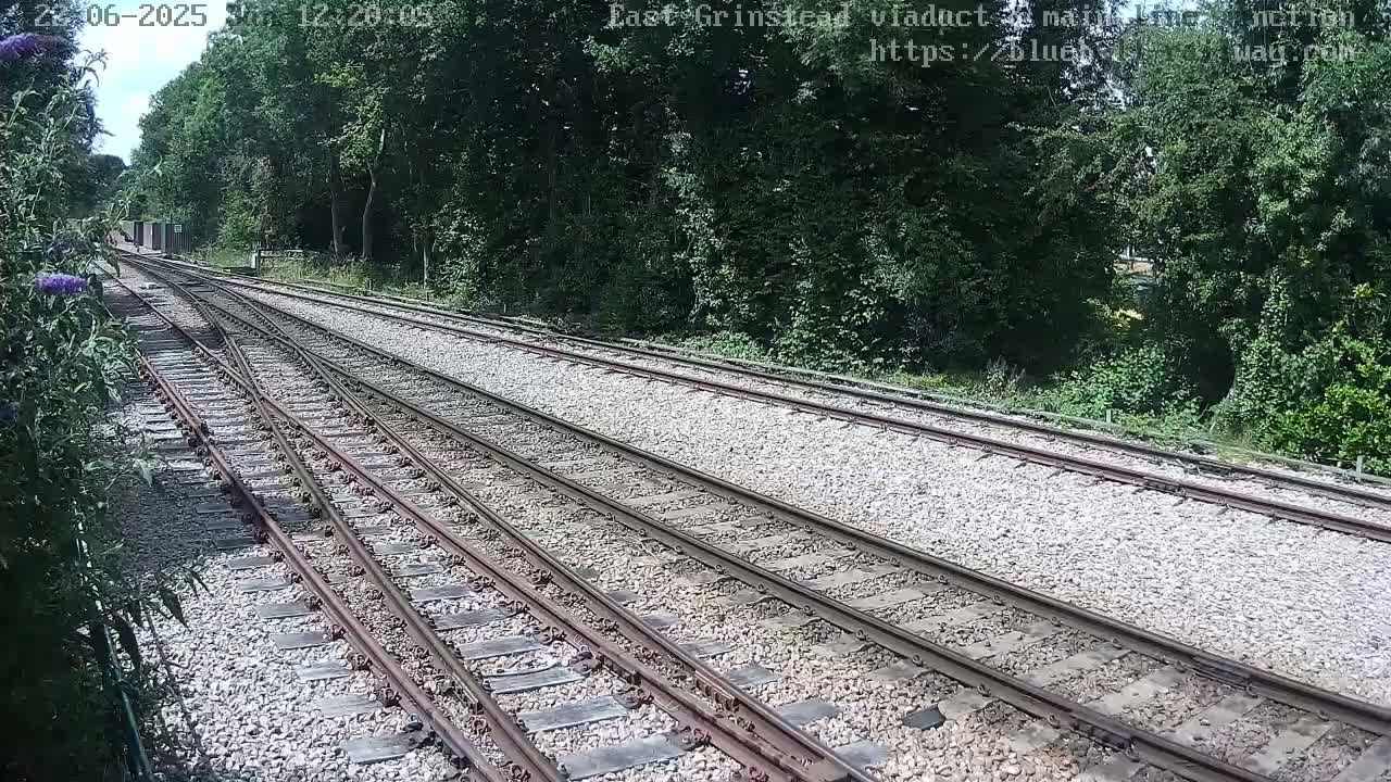 Several train tracks diverge through a wooded area on a sunny day.