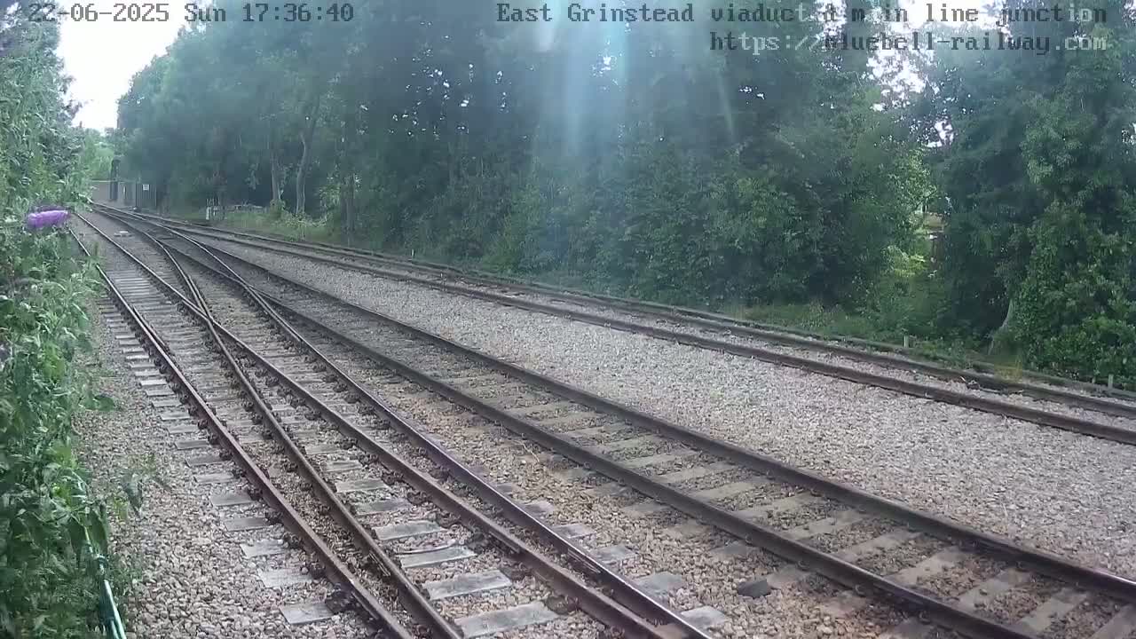 A sunny day view of a railway line junction splitting into three tracks, bordered by lush green trees.