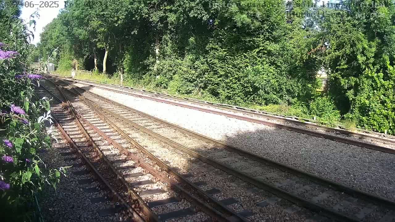 Train tracks diverge amidst sunny weather and lush green foliage.