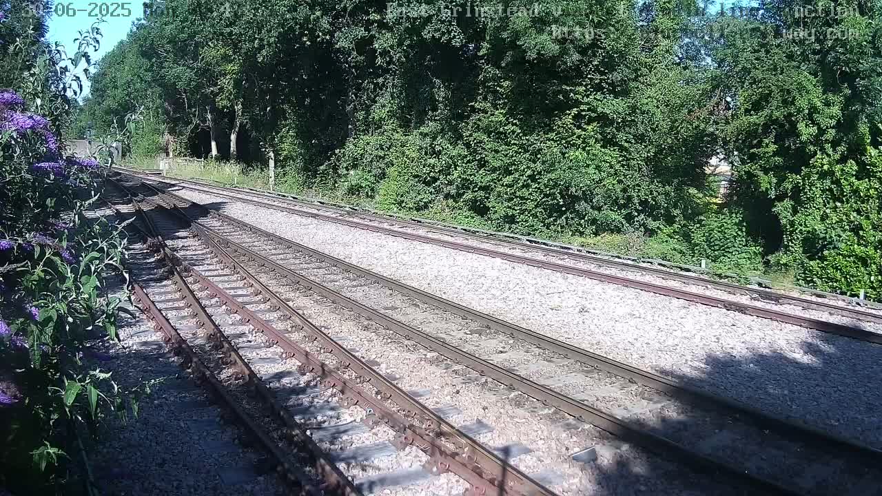 Multiple train tracks diverge on a sunny day, bordered by lush green vegetation.