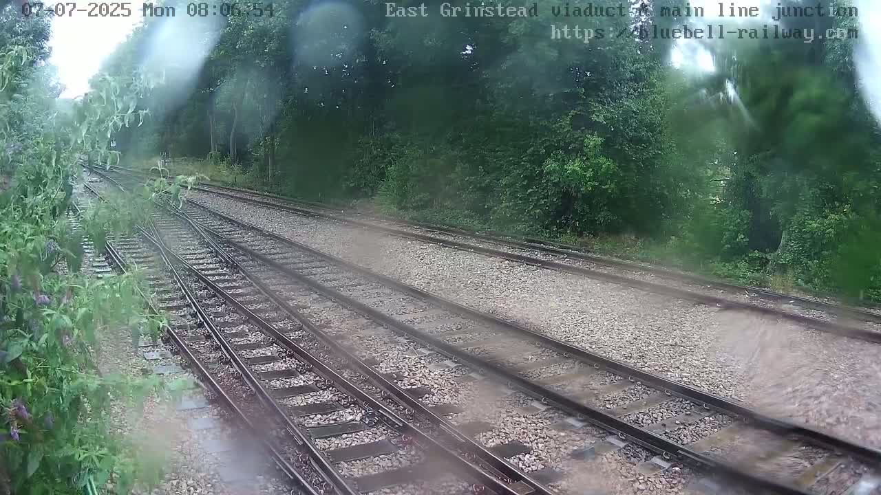 Multiple train tracks diverge through a wooded area on a lightly rainy day.