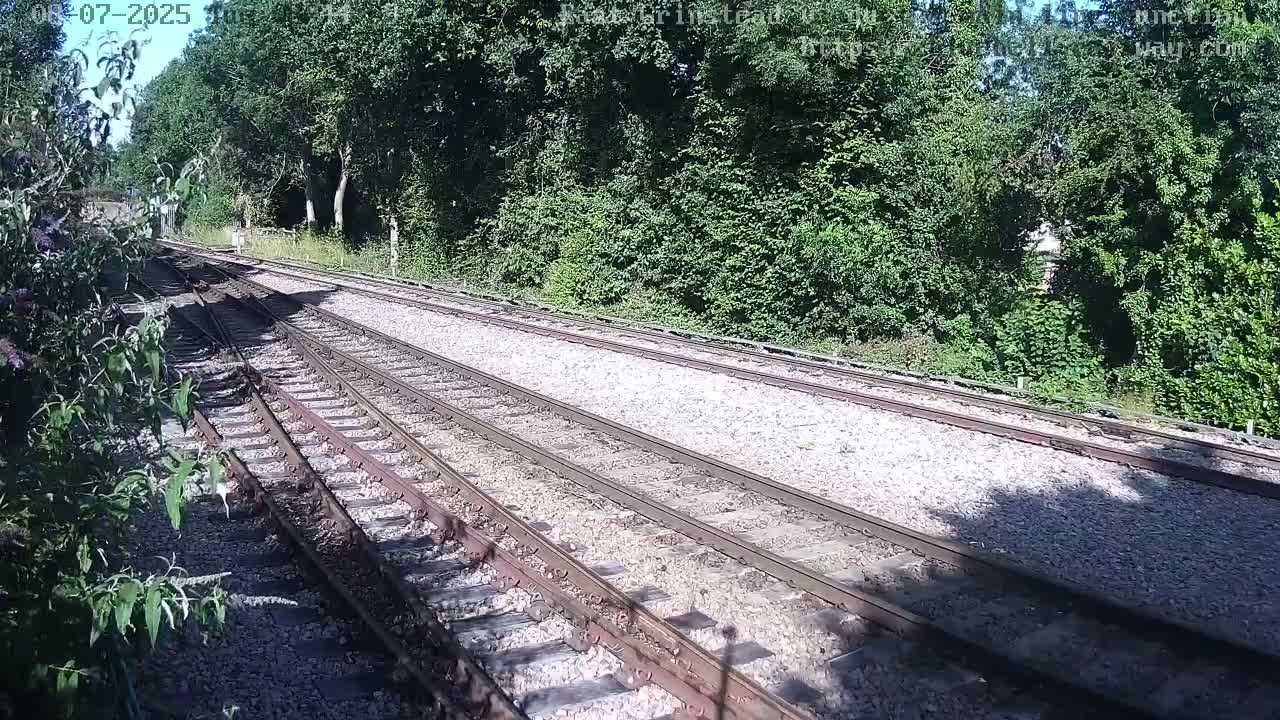Multiple train tracks diverge through a sunny landscape of lush green vegetation.