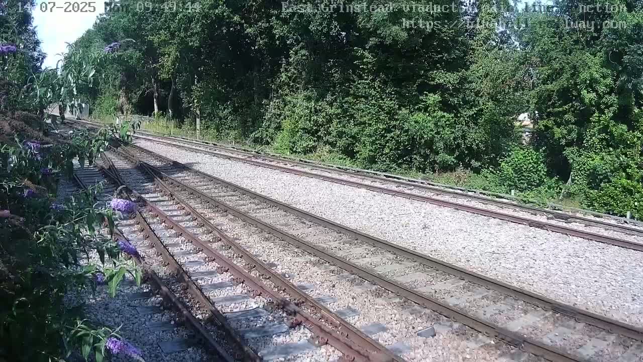 Multiple train tracks extend into a wooded area on a sunny day.