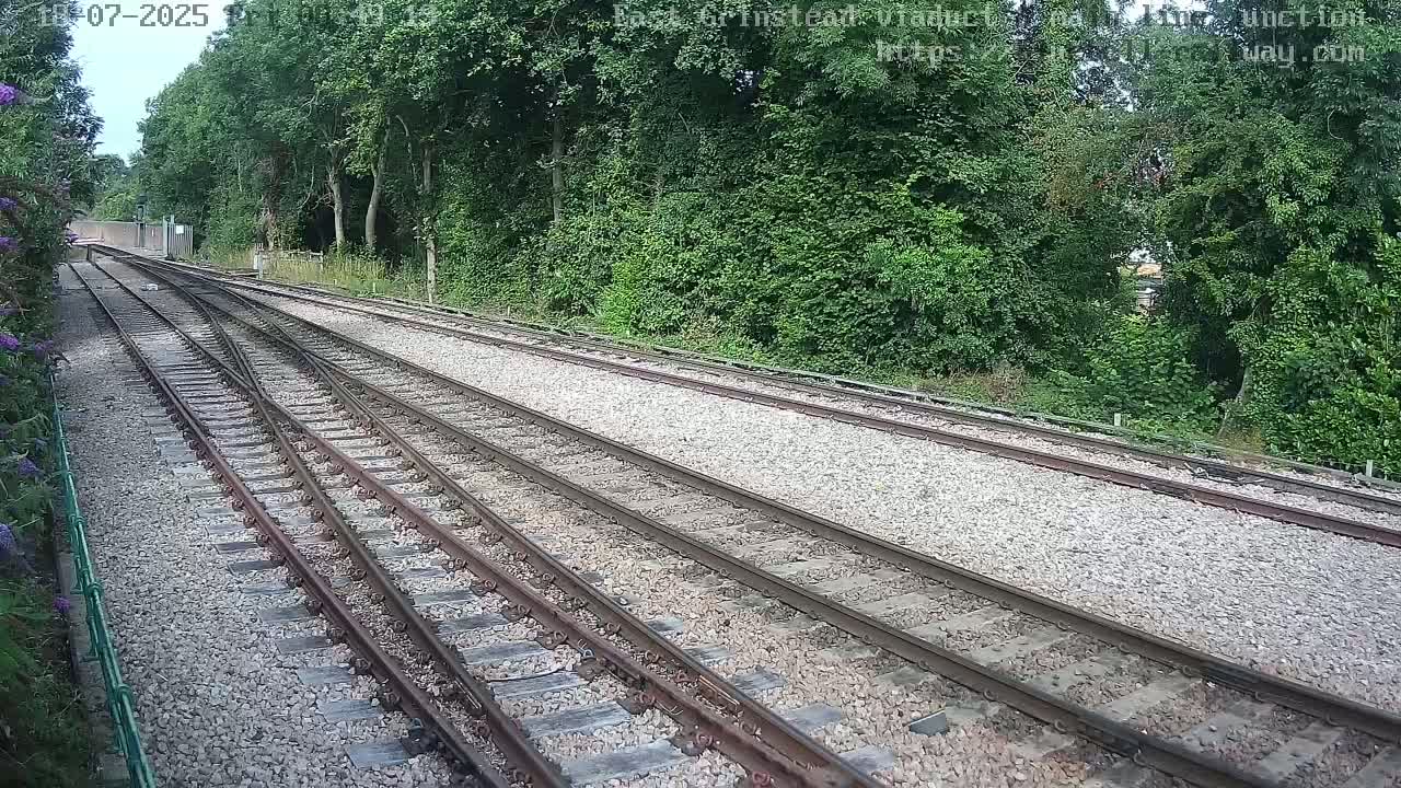 Multiple train tracks diverge into the distance, bordered by lush green foliage on a partly sunny day.