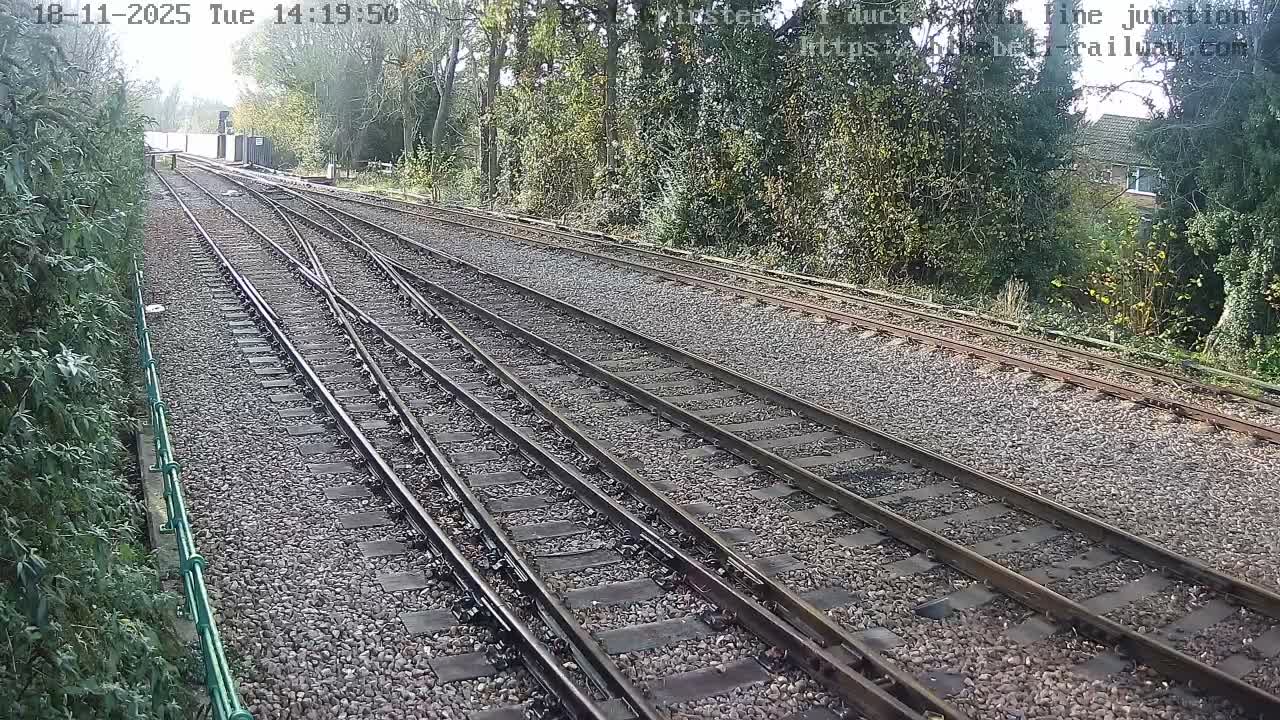 Multiple train tracks diverge into the distance, bordered by lush green foliage on a partly sunny day.