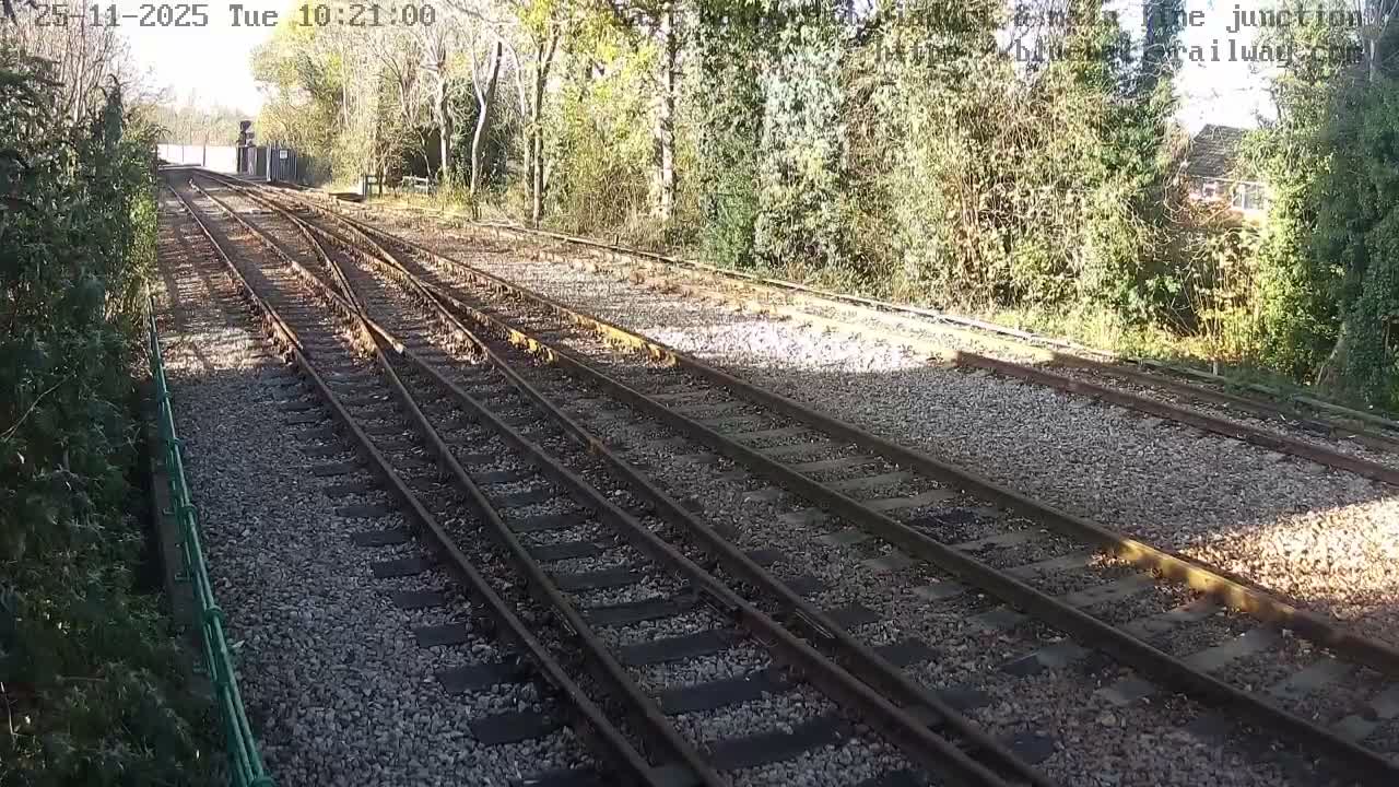 The image captures a network of sun-drenched train tracks diverging through a gravel bed, bordered by dense green foliage under a clear, sunny sky.