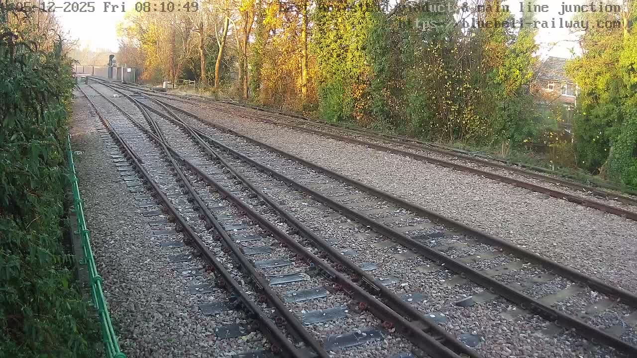 A bright, sunny outdoor scene shows multiple railway tracks converging and diverging at a junction, flanked by hedges on the left and trees with varied foliage on the right and in the background.