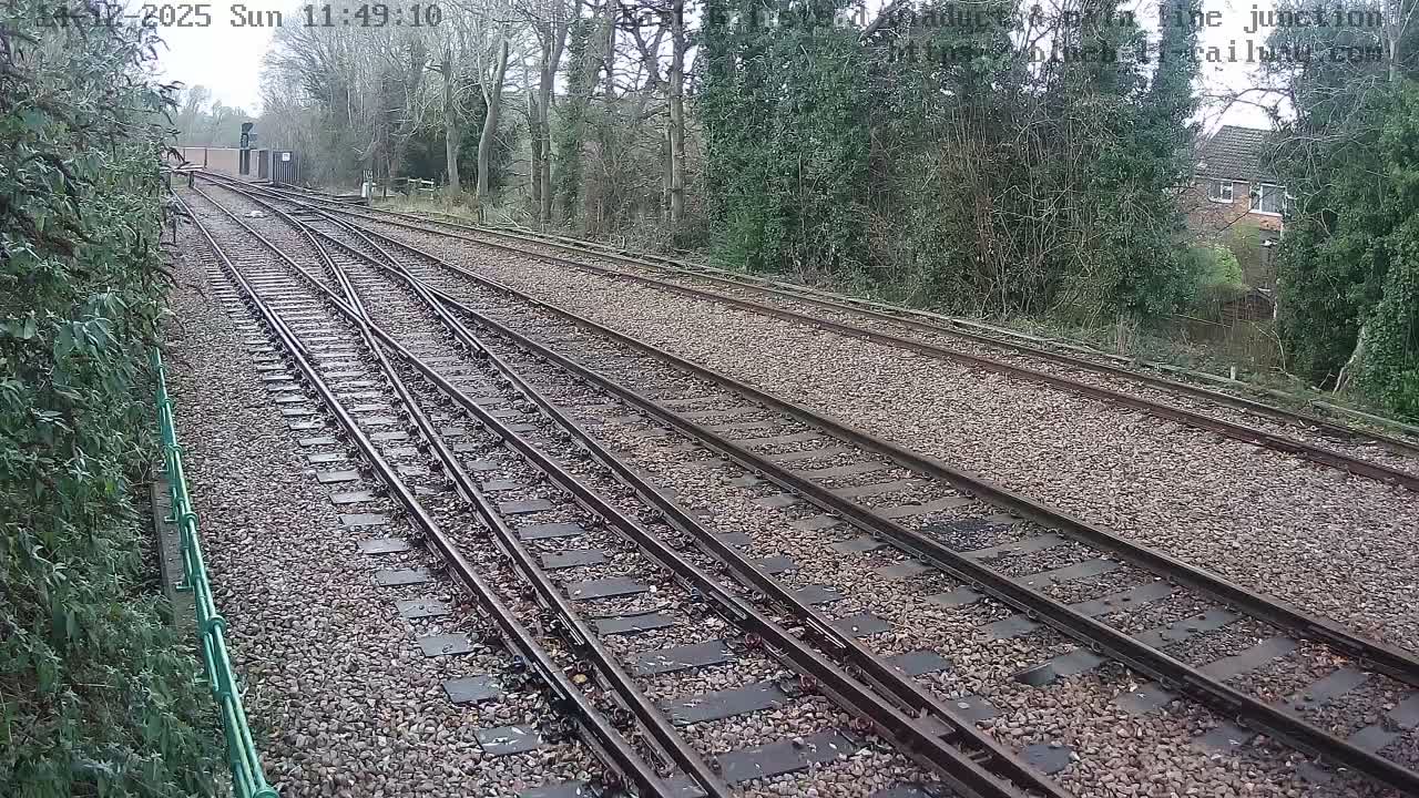 A bright, sunny outdoor scene shows multiple railway tracks converging and diverging at a junction, flanked by hedges on the left and trees with varied foliage on the right and in the background.
