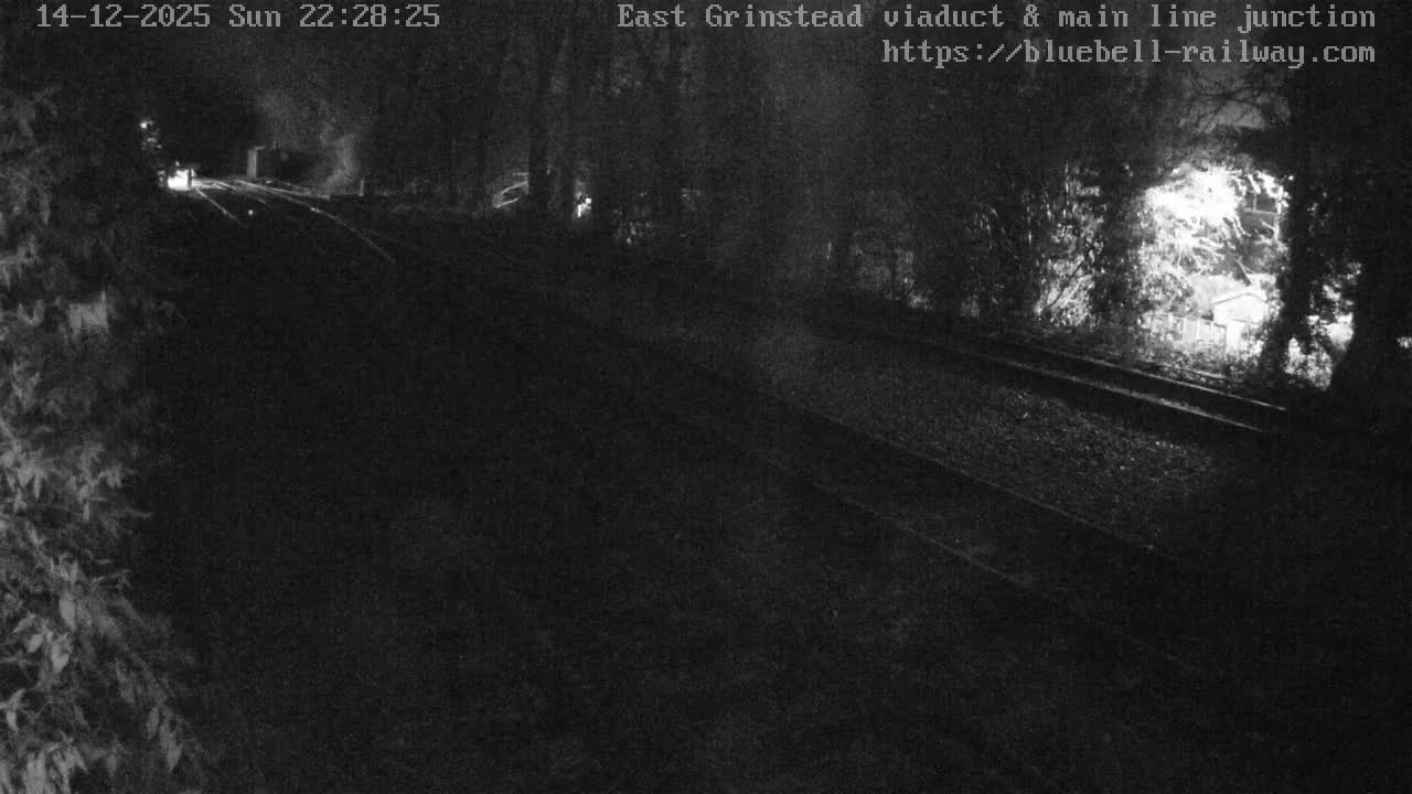 A bright, sunny outdoor scene shows multiple railway tracks converging and diverging at a junction, flanked by hedges on the left and trees with varied foliage on the right and in the background.