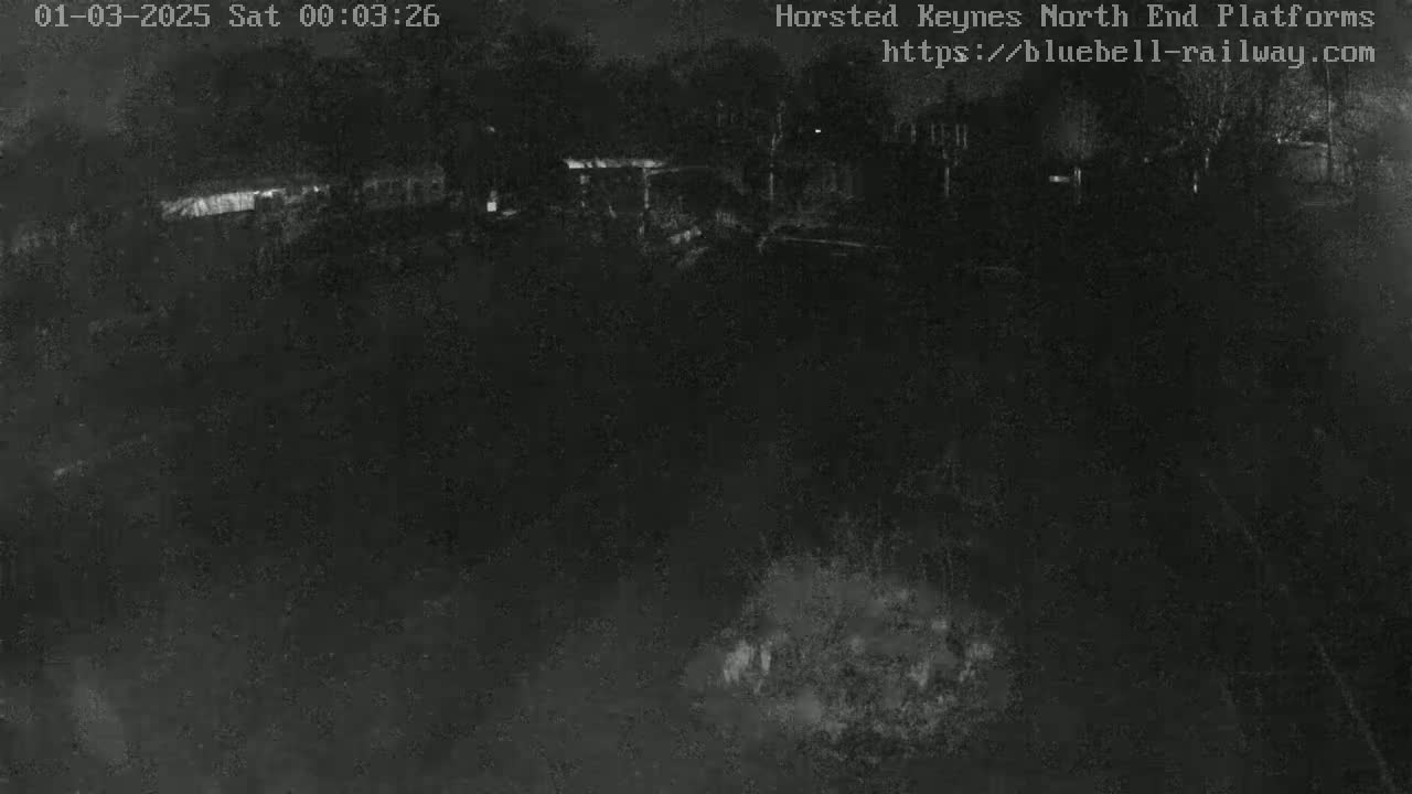 A nighttime, low-light image shows a dark, mostly empty area with some indistinct structures and trees visible in the distance.