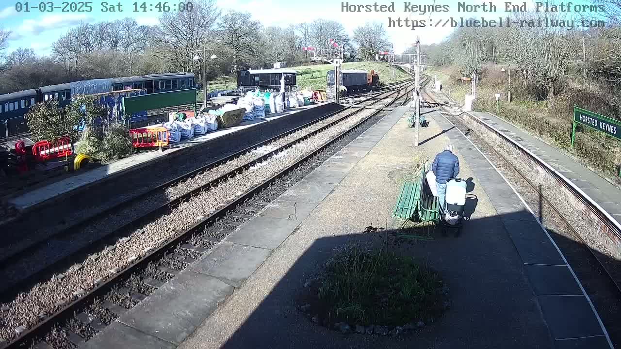 A sunny day at a train station shows several railway cars and a person pushing a stroller along the platform.