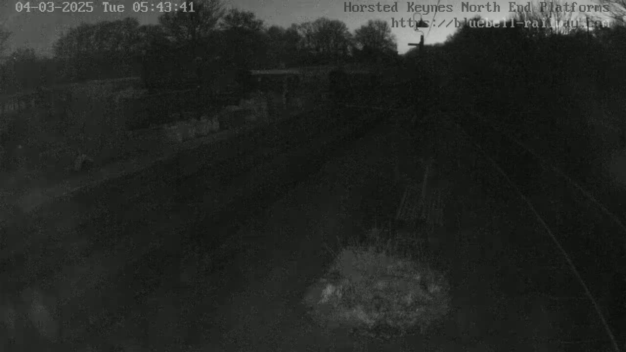 A dark, nighttime view of a train platform area with trees in the background under a twilight sky.