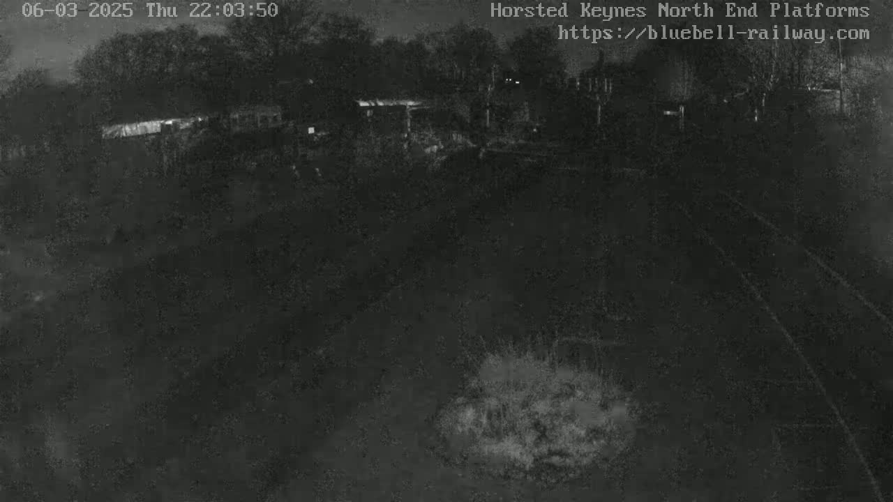 A nighttime, low-light view of a dark, possibly train-related, area with some indistinct structures and vegetation.