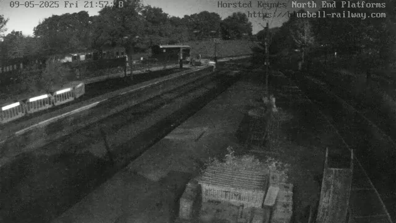 A nighttime, high-angle view shows a train at a station platform with surrounding trees and structures.