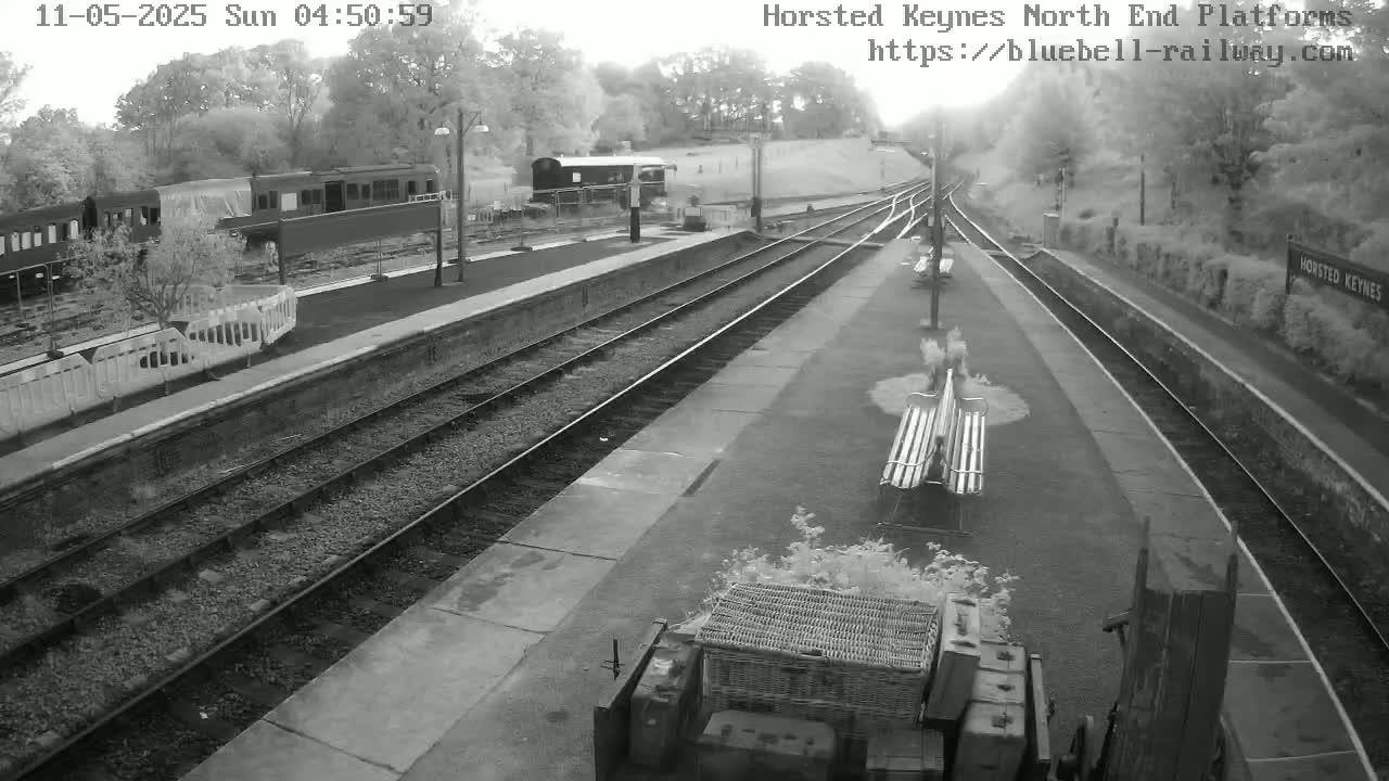 A grayscale image shows a train station platform with several train cars, railway tracks, and benches under a bright, possibly sunny sky.