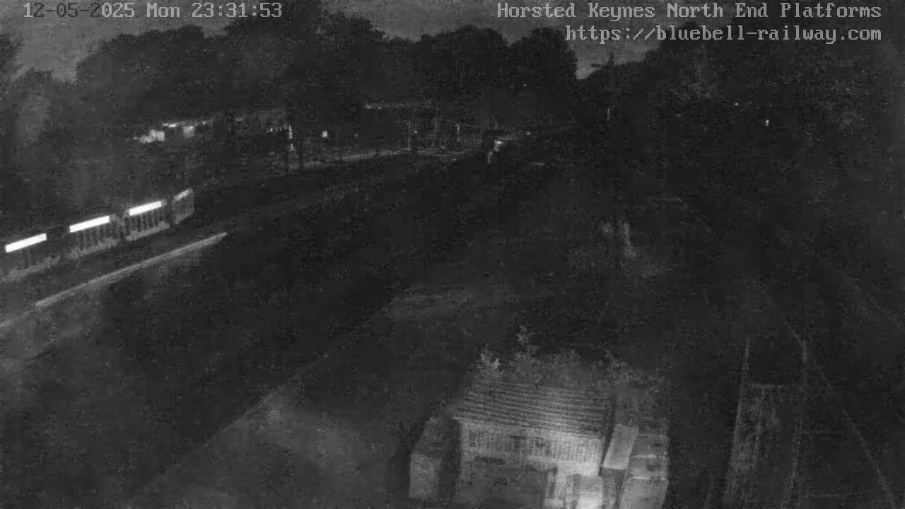 A nighttime, low-light view shows a train on tracks near some trees and buildings.
