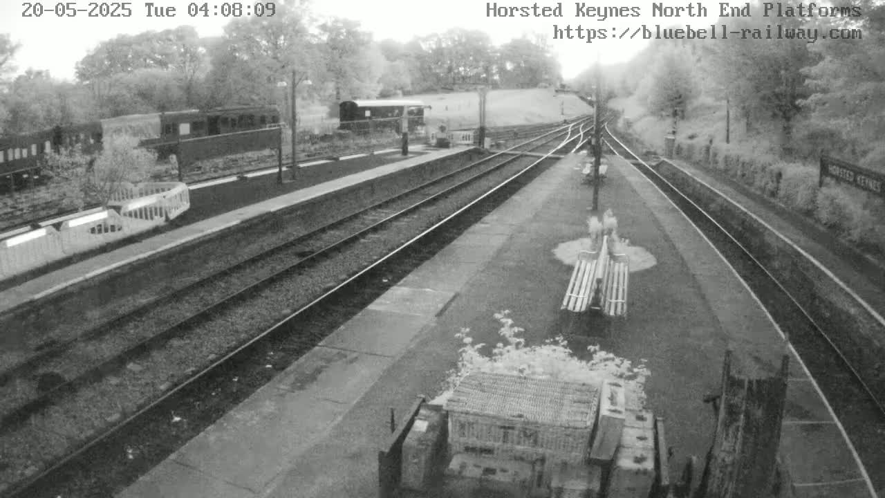 A high-angle, grayscale view of a train station with several train cars, tracks, and platforms on an overcast day.