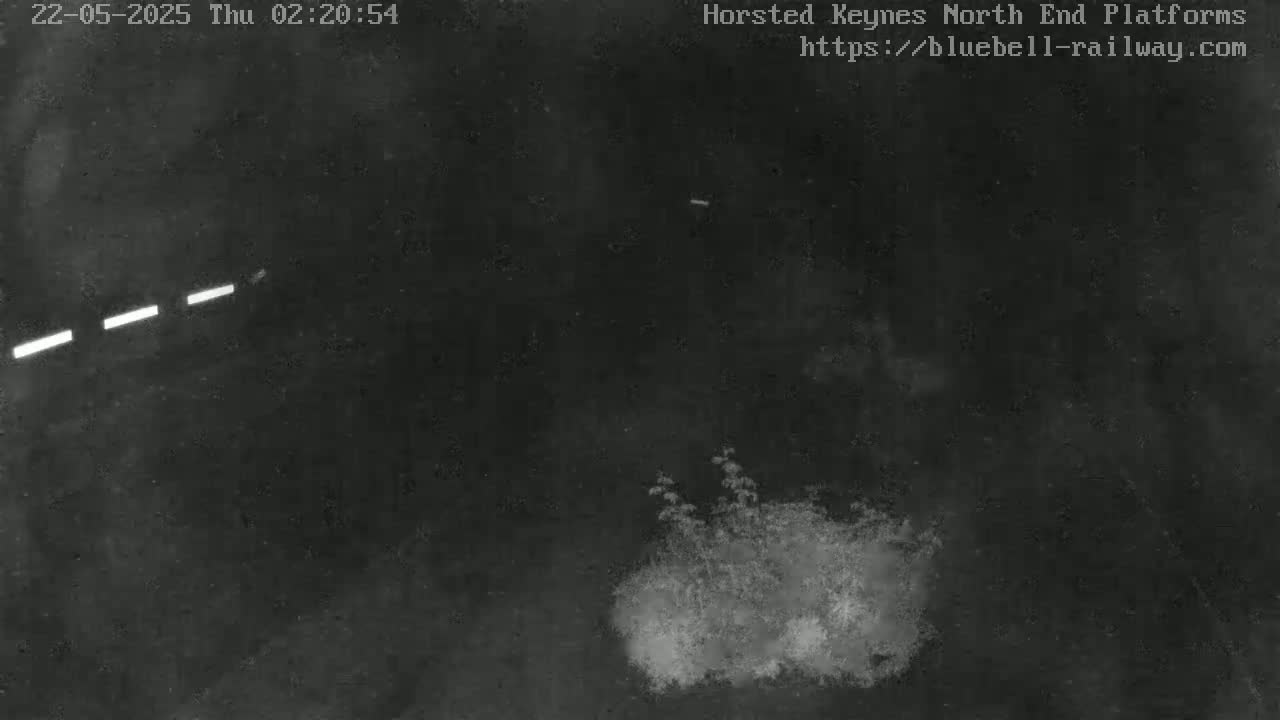 A nighttime, low-light image shows a dark, mostly empty area with a small patch of light-colored vegetation in the lower right and faint, bright horizontal lines in the upper left.