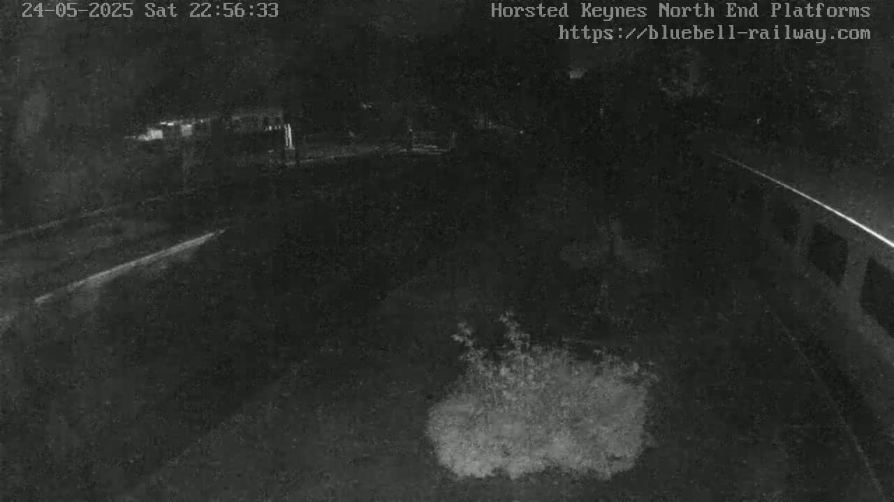 A nighttime, low-light view of a dark area with sparse vegetation and a faintly visible structure in the background.