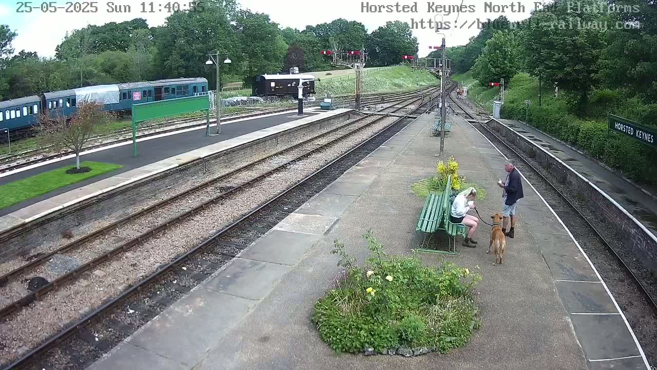 A train station platform on a sunny day with two people sitting on a bench with a dog, and a train visible in the background.