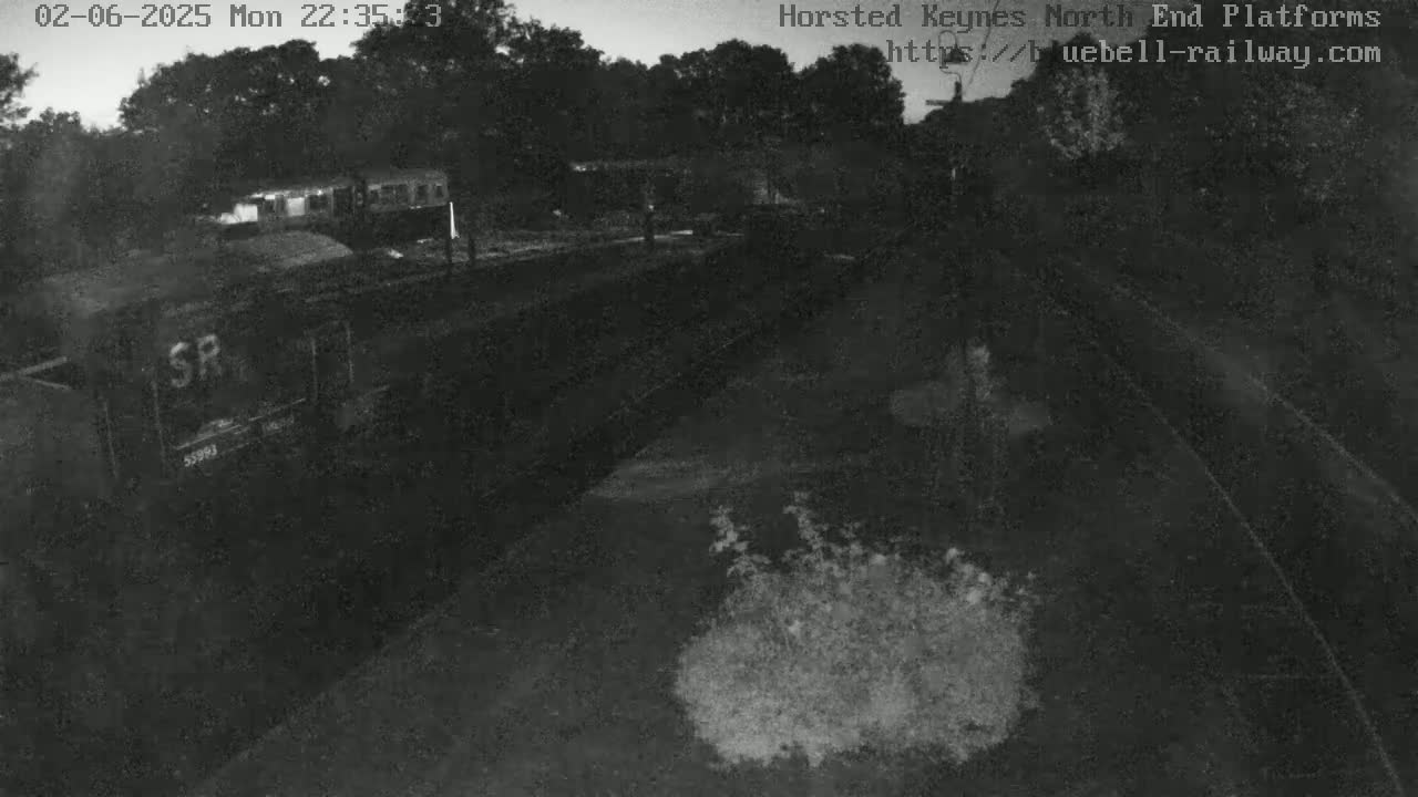A nighttime, low-light view of a train station with a train partially visible, and some vegetation near the tracks.
