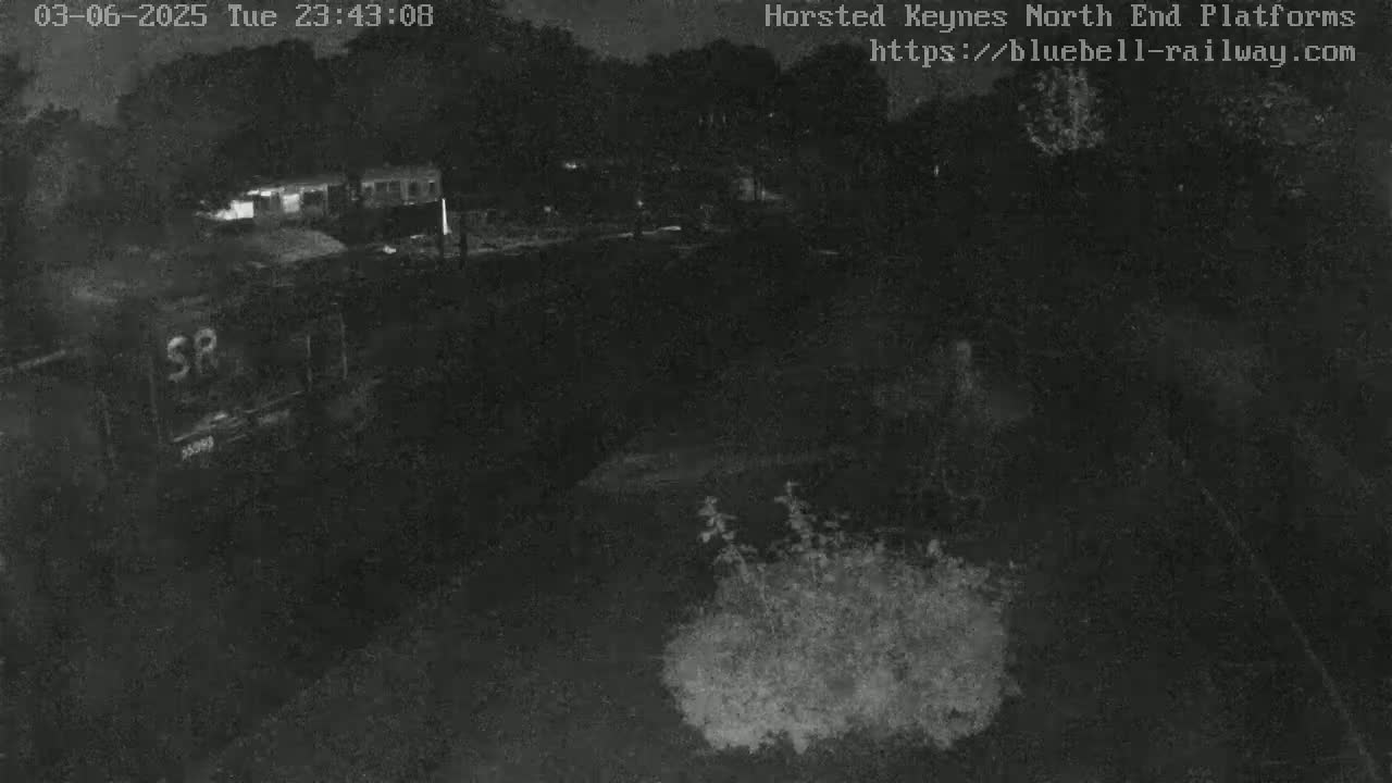 A nighttime, low-light image shows a train car and some vegetation near a building in the background.