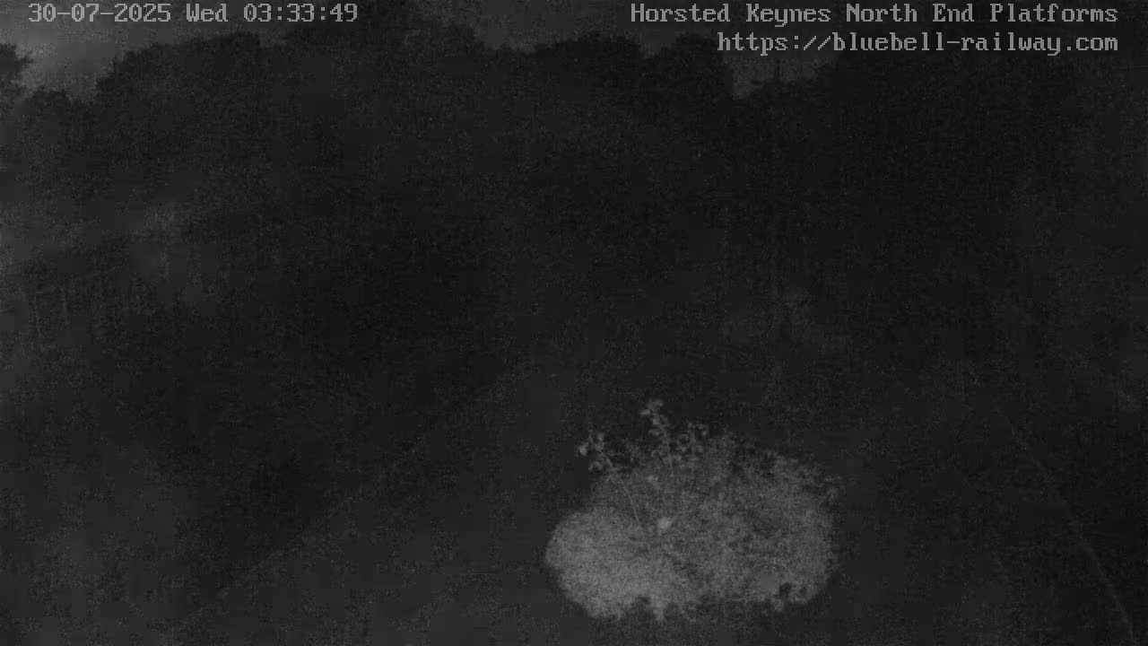 A nighttime, low-light image shows a dark, mostly featureless ground with a patch of lighter vegetation in the lower center.