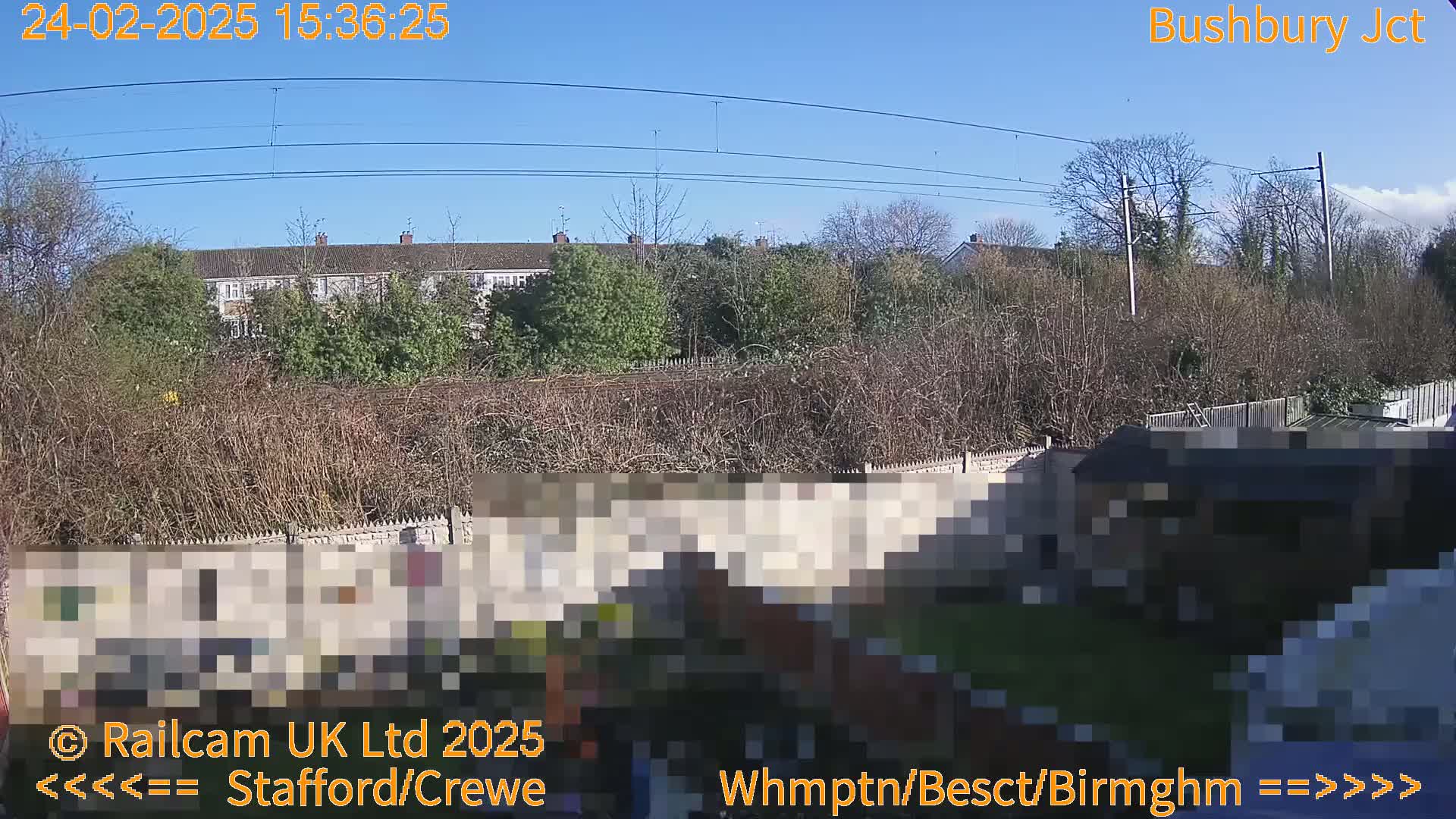 A sunny view shows a row of houses beyond a hedgerow and a garden containing a shed.