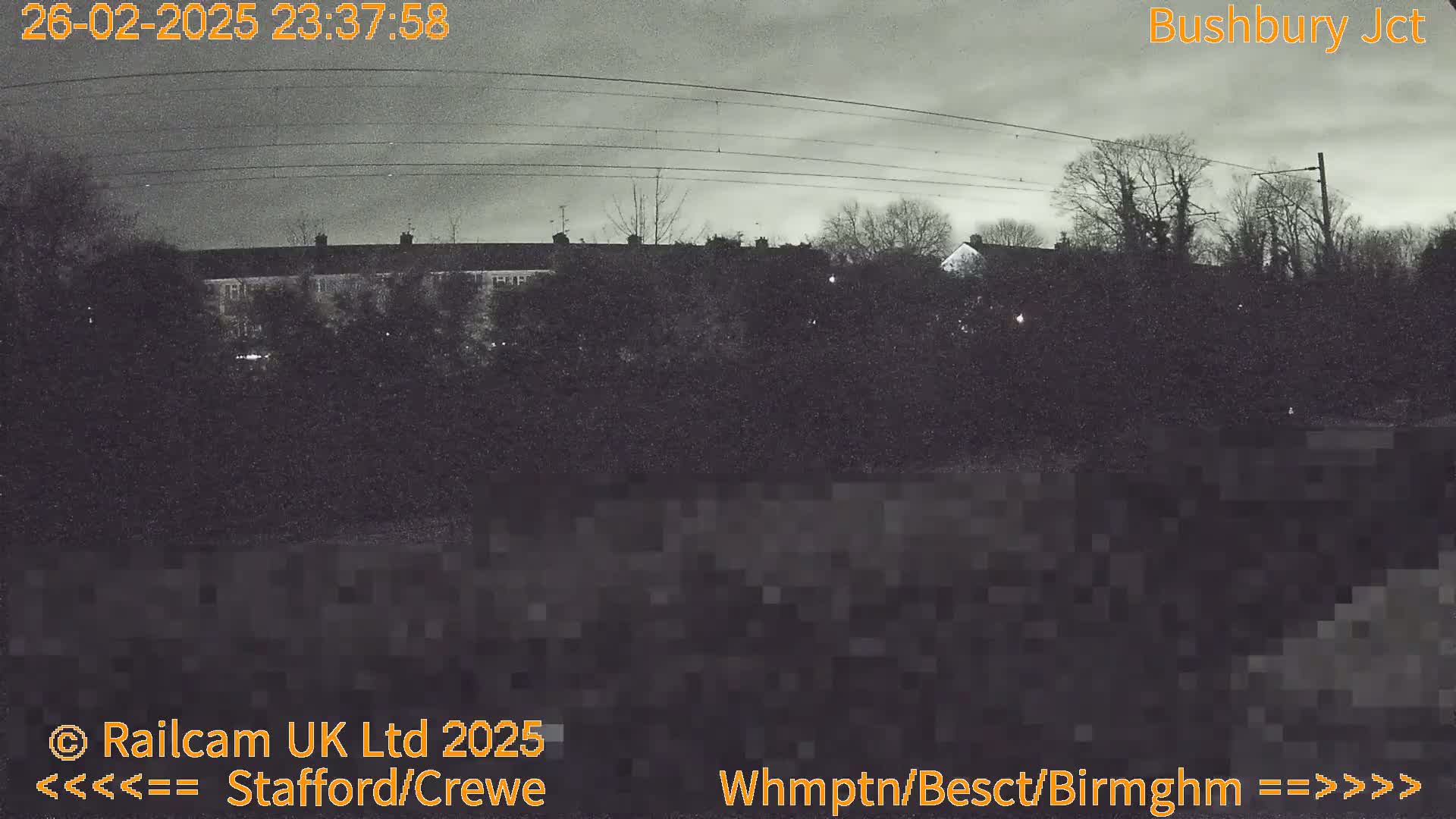 A nighttime, overcast view shows a row of houses behind a line of trees and power lines.
