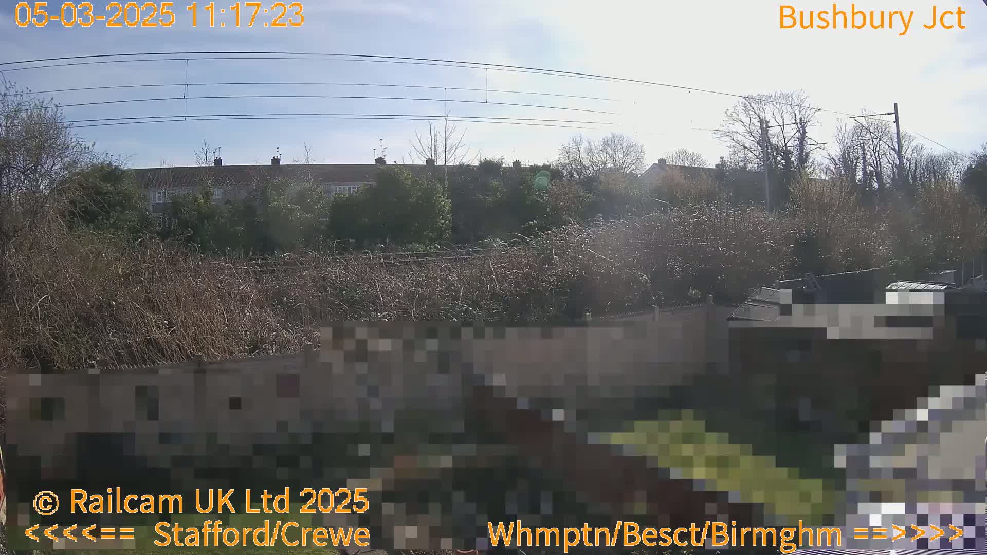 A sunny outdoor scene shows a row of houses behind a fence and overgrown vegetation, with power lines overhead.