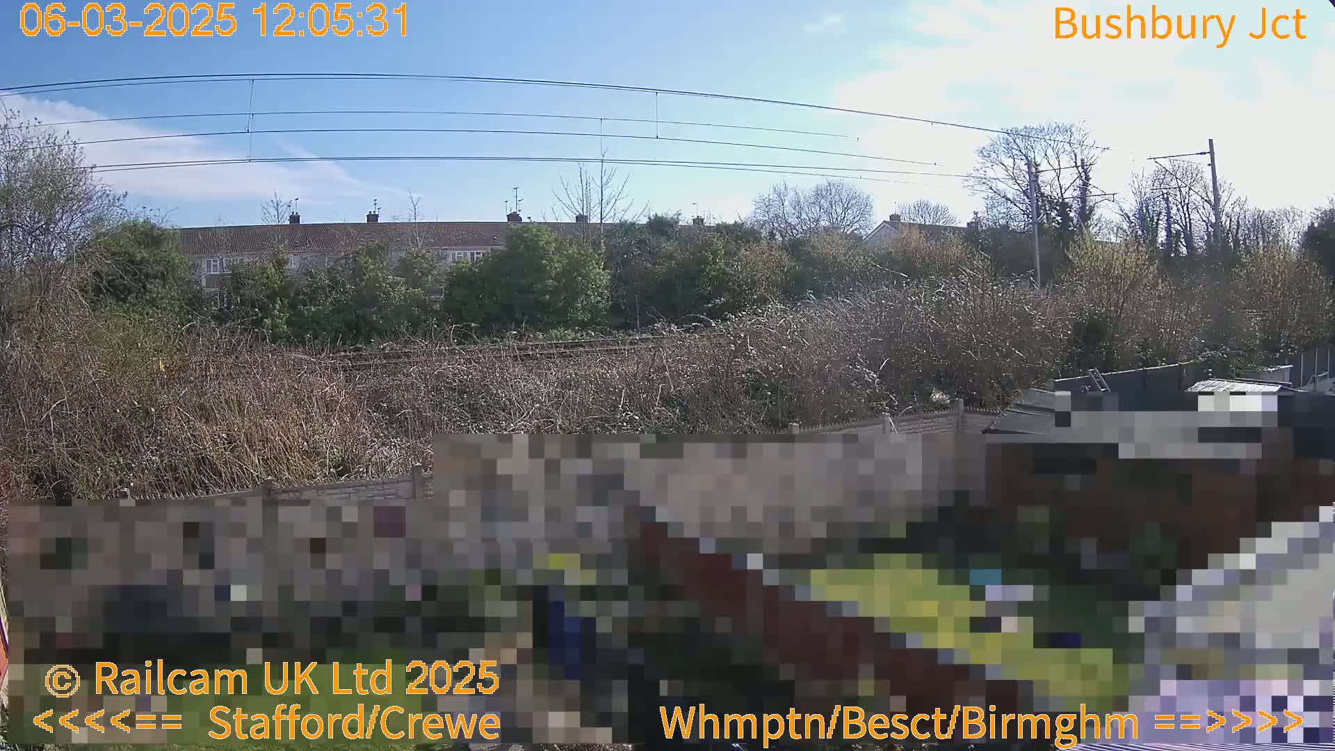 A sunny day view from a backyard shows a row of houses beyond a fence and overgrown vegetation, with power lines overhead.
