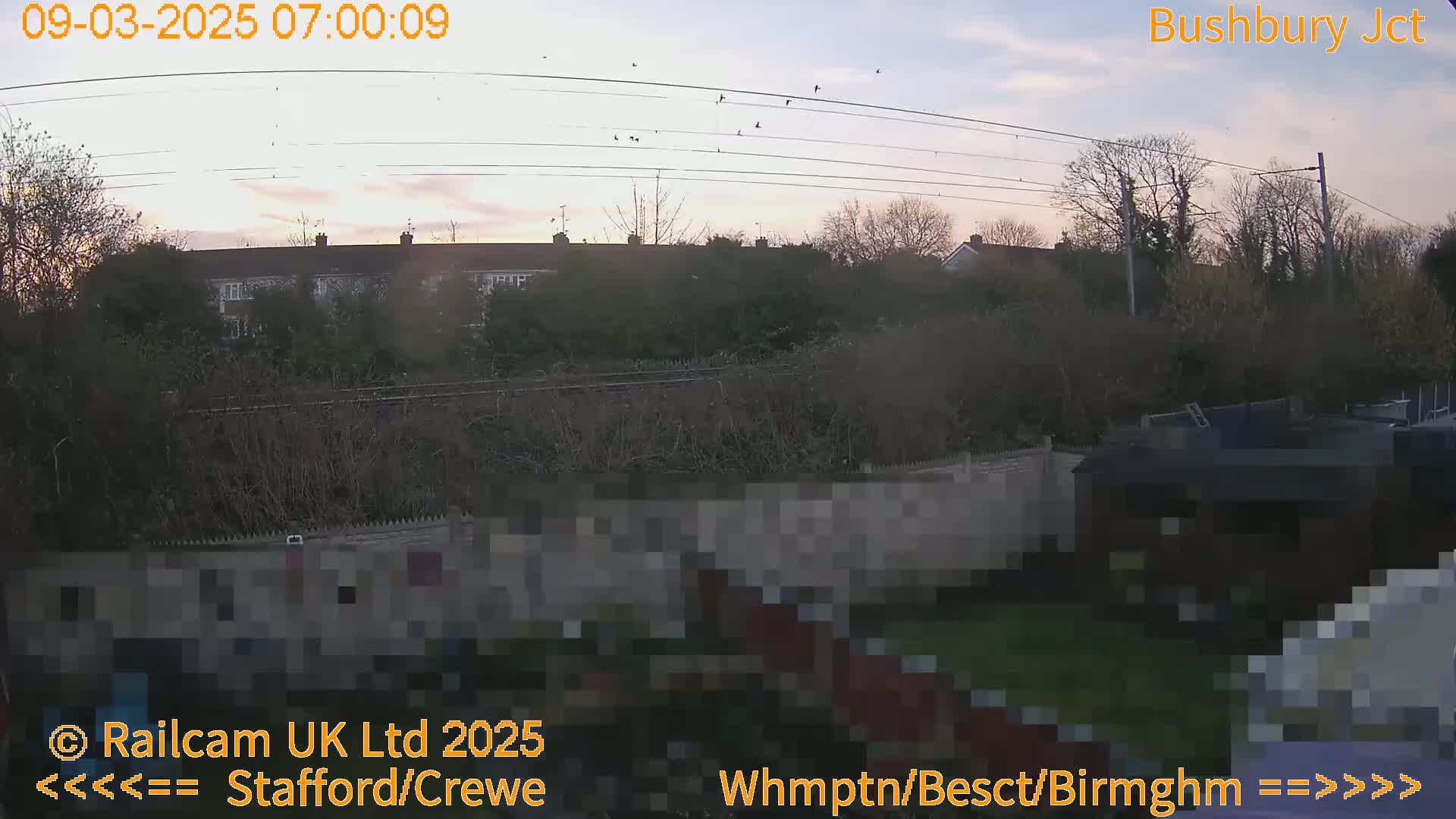 A backyard scene at dawn shows a row of houses in the distance, power lines overhead with birds in flight, and a fence separating the viewer's yard from the houses.