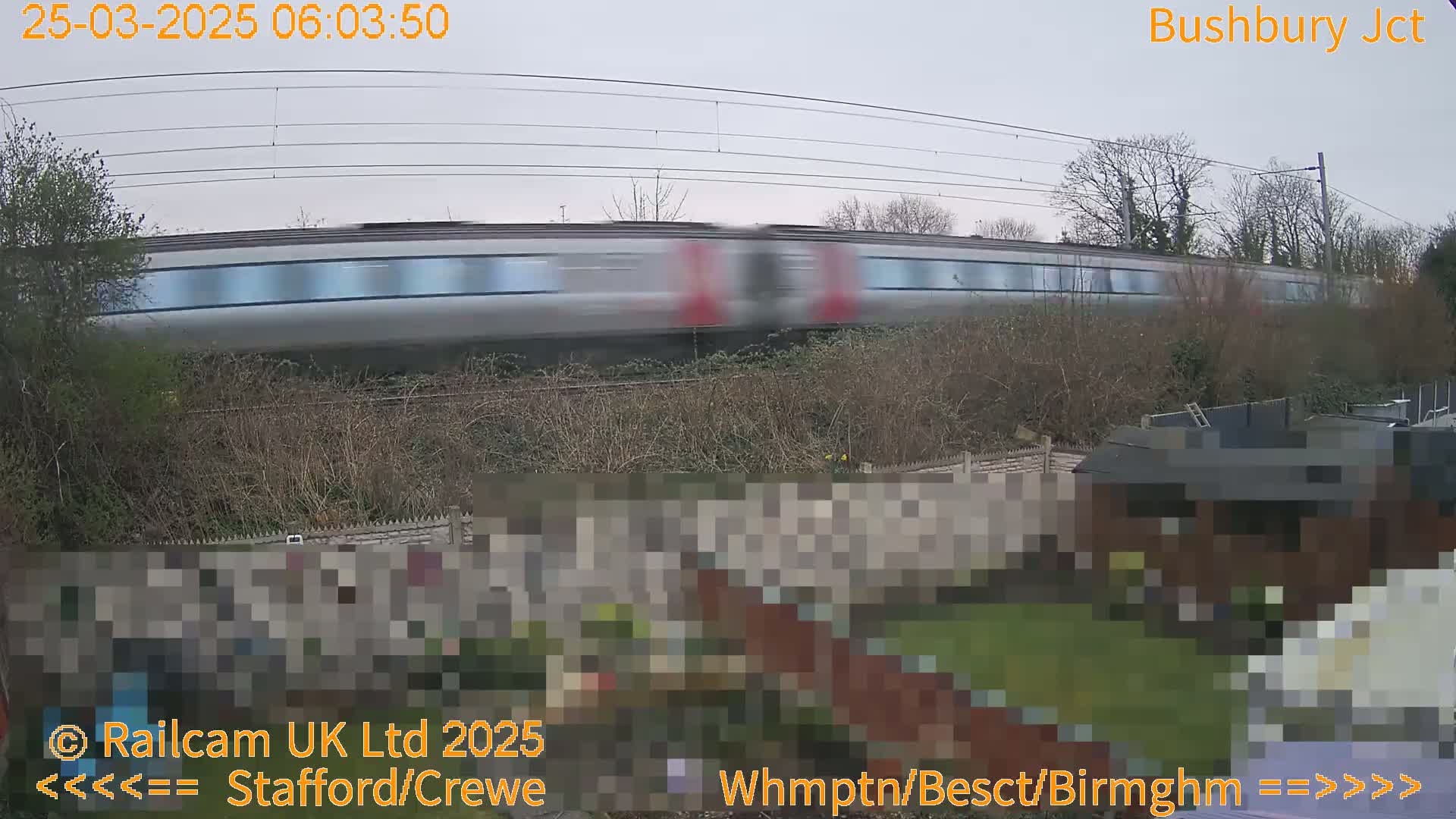 A high-speed train passes by a backyard on an overcast day.