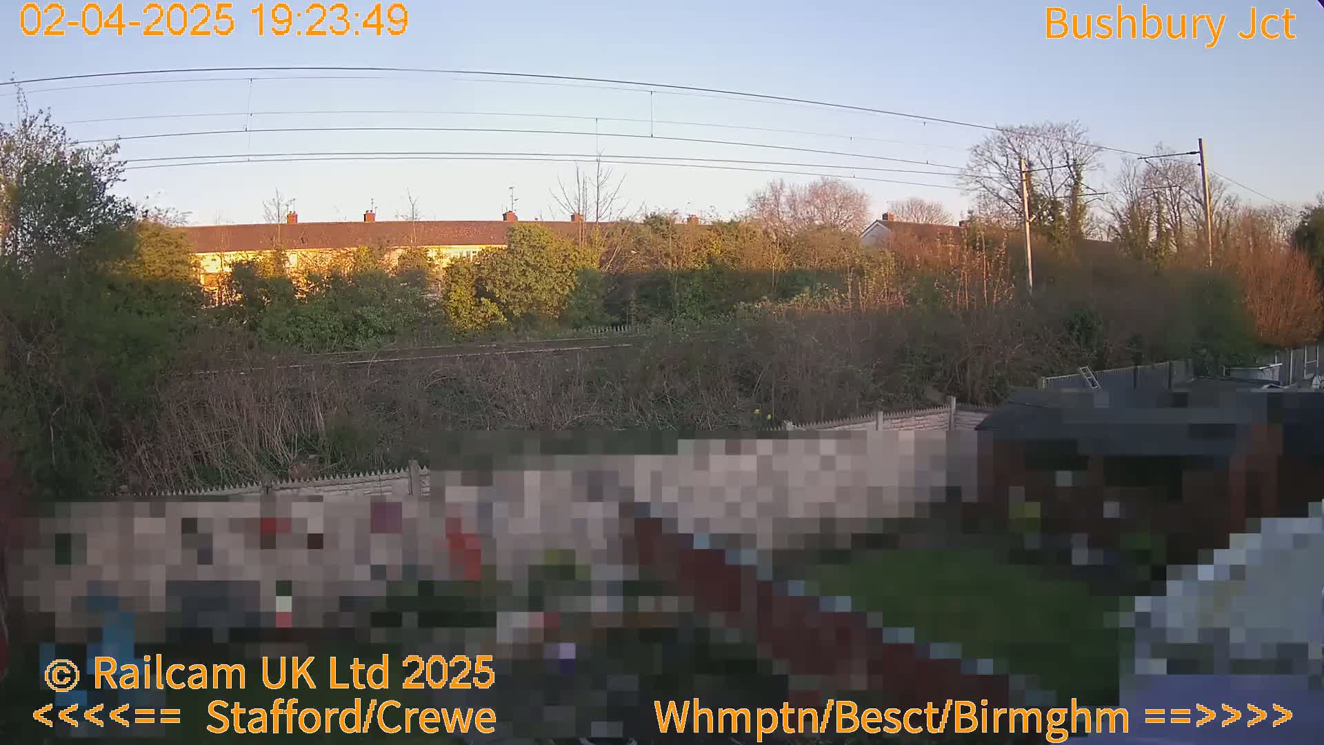 A clear evening shows a row of houses and trees behind a garden fence with a shed and power lines overhead.