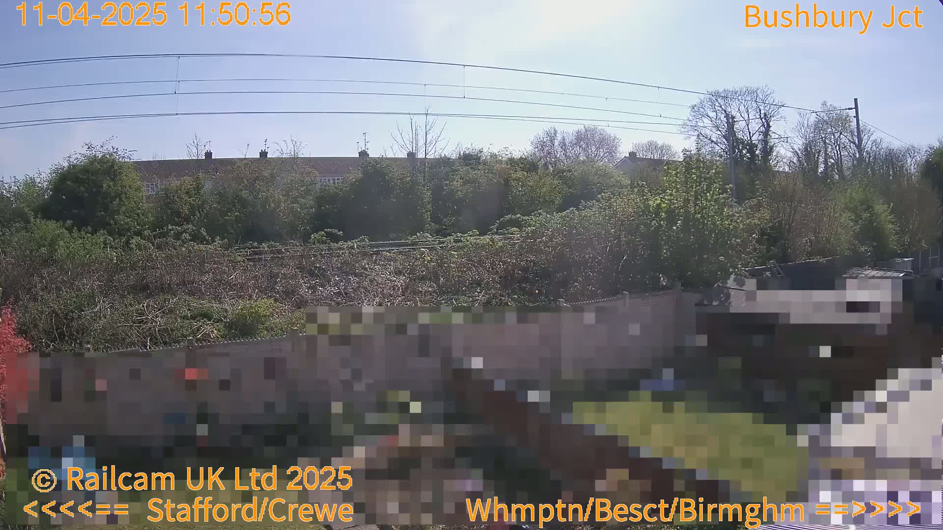 A sunny outdoor view shows a row of houses behind a fence and overgrown vegetation, with power lines overhead.