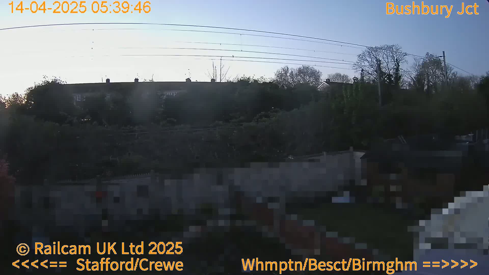 A pre-dawn view shows a row of houses behind a line of trees and fences, under a clear sky.