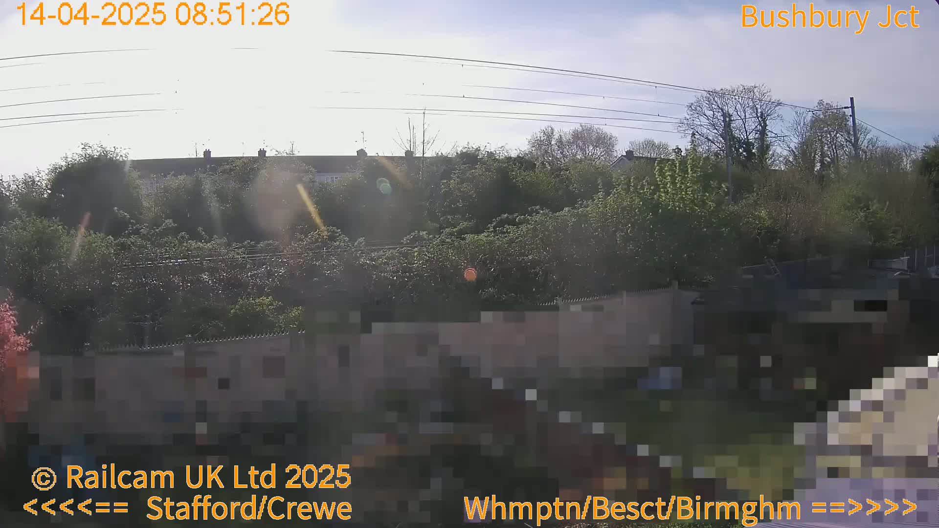 A sunny day reveals a view of rooftops, lush green trees, and a fence, with power lines stretching across the scene.
