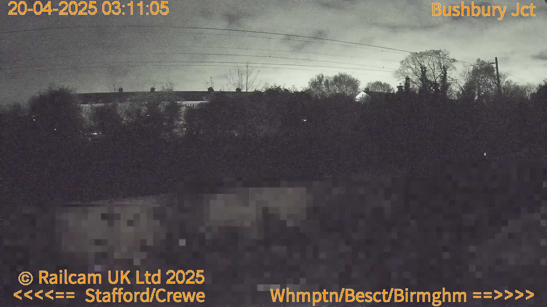 A nighttime, overcast view shows dark silhouettes of trees and buildings under power lines.