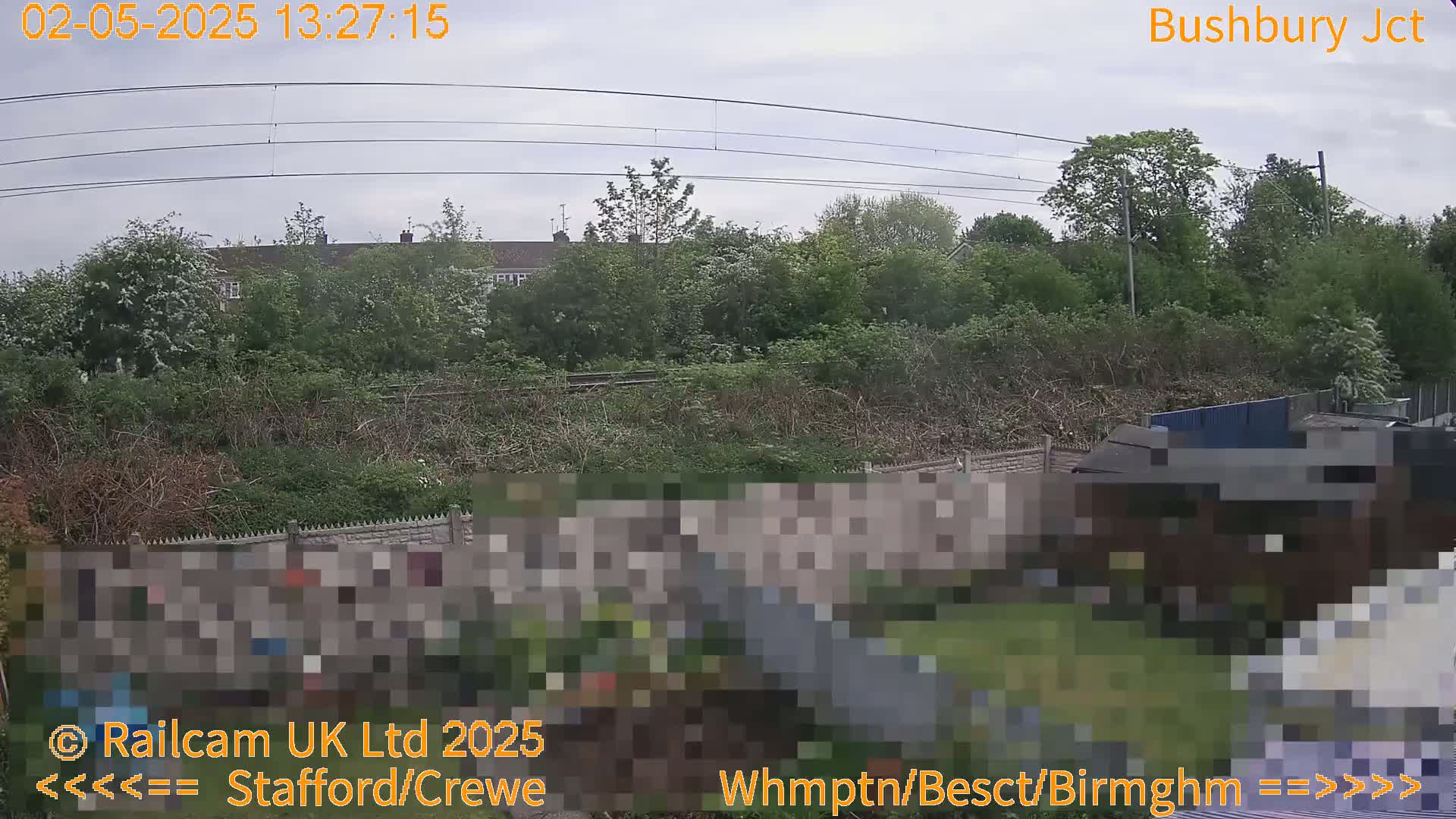 A view of overgrown vegetation, a fence, and houses beyond under an overcast sky.