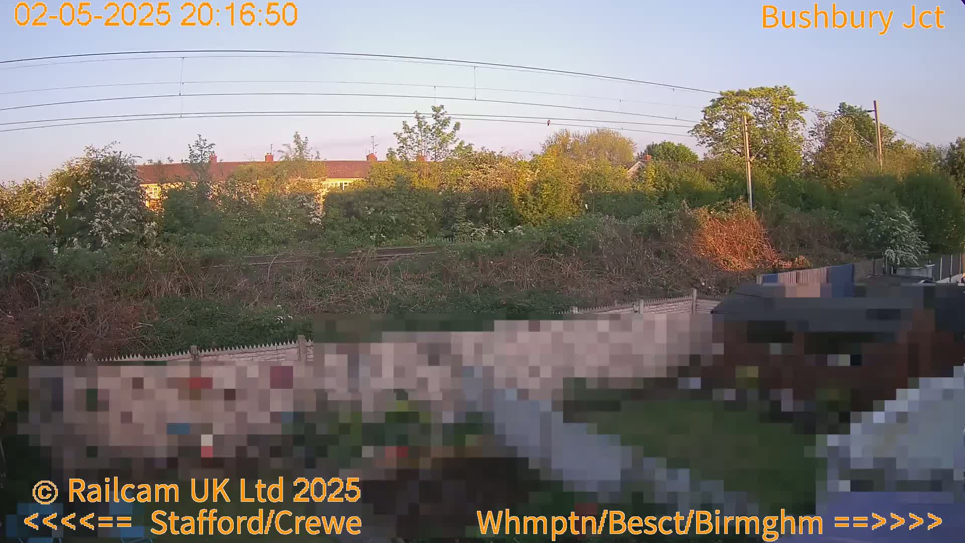 A view of a backyard garden at sunset, beyond a fence and railway tracks, with houses and trees in the background.