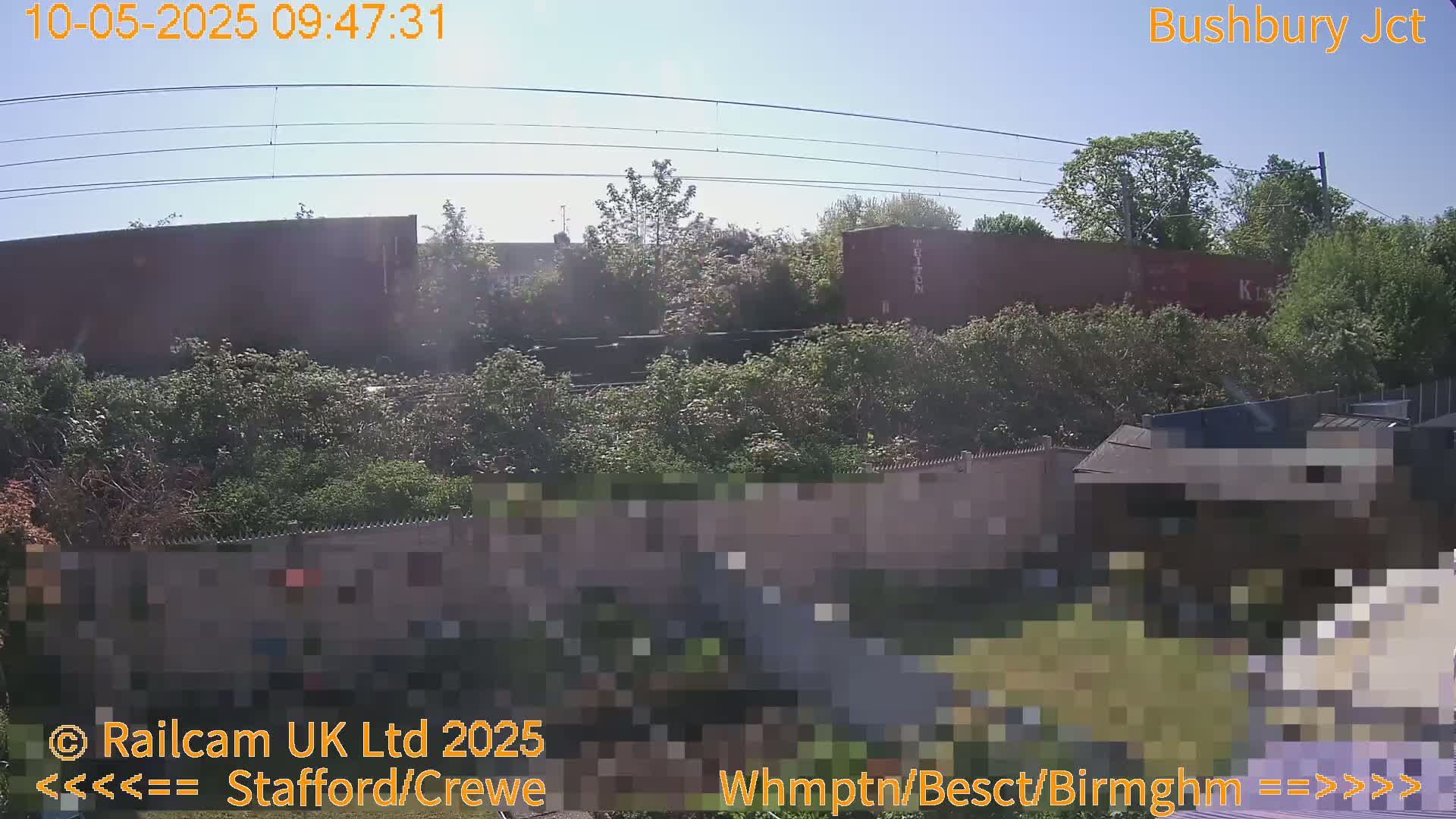A sunny day shows a train partially obscured by trees and a fence, viewed from a backyard.