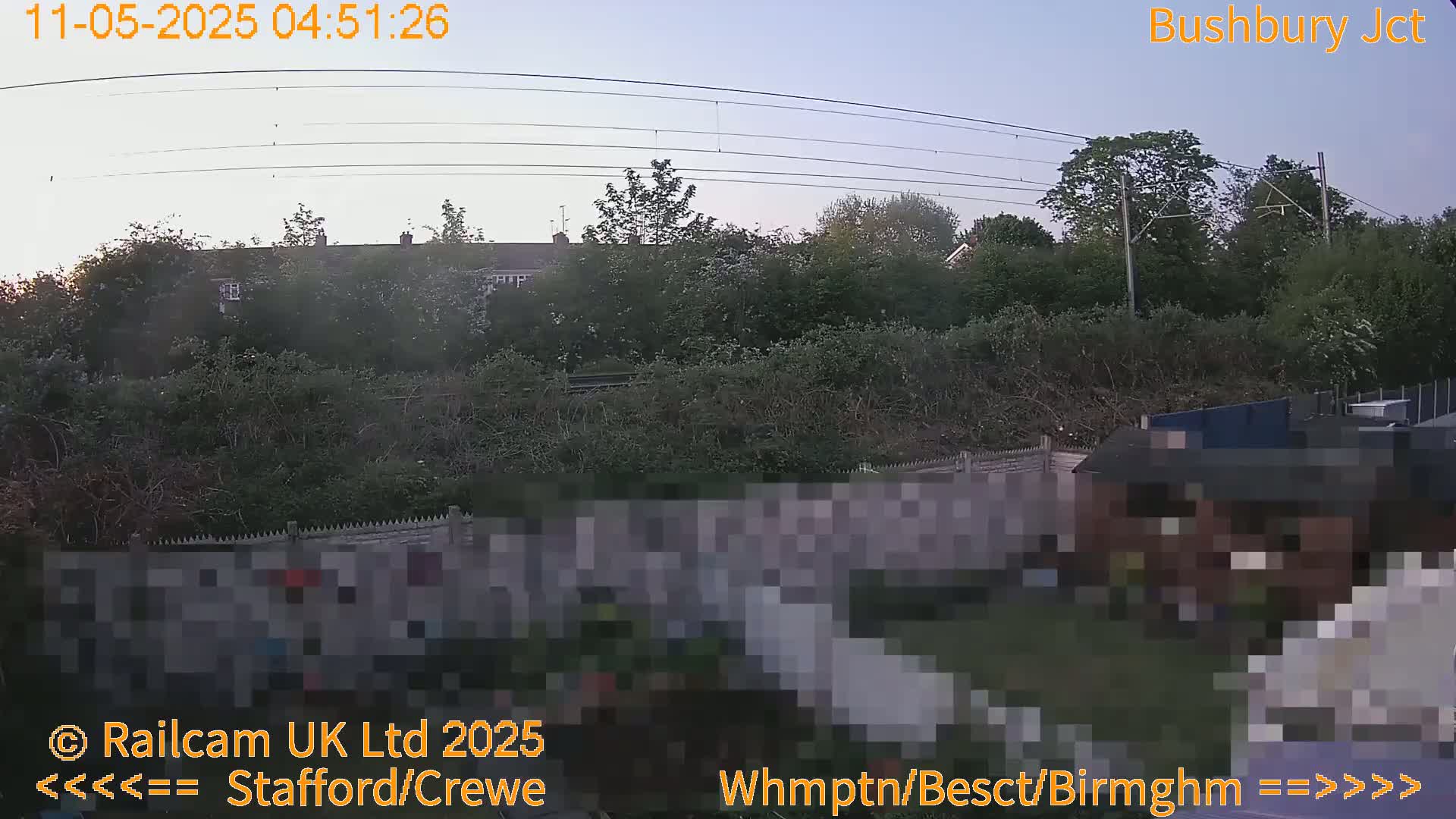 A view of a backyard garden and houses beyond a fence, under a twilight sky with power lines overhead.