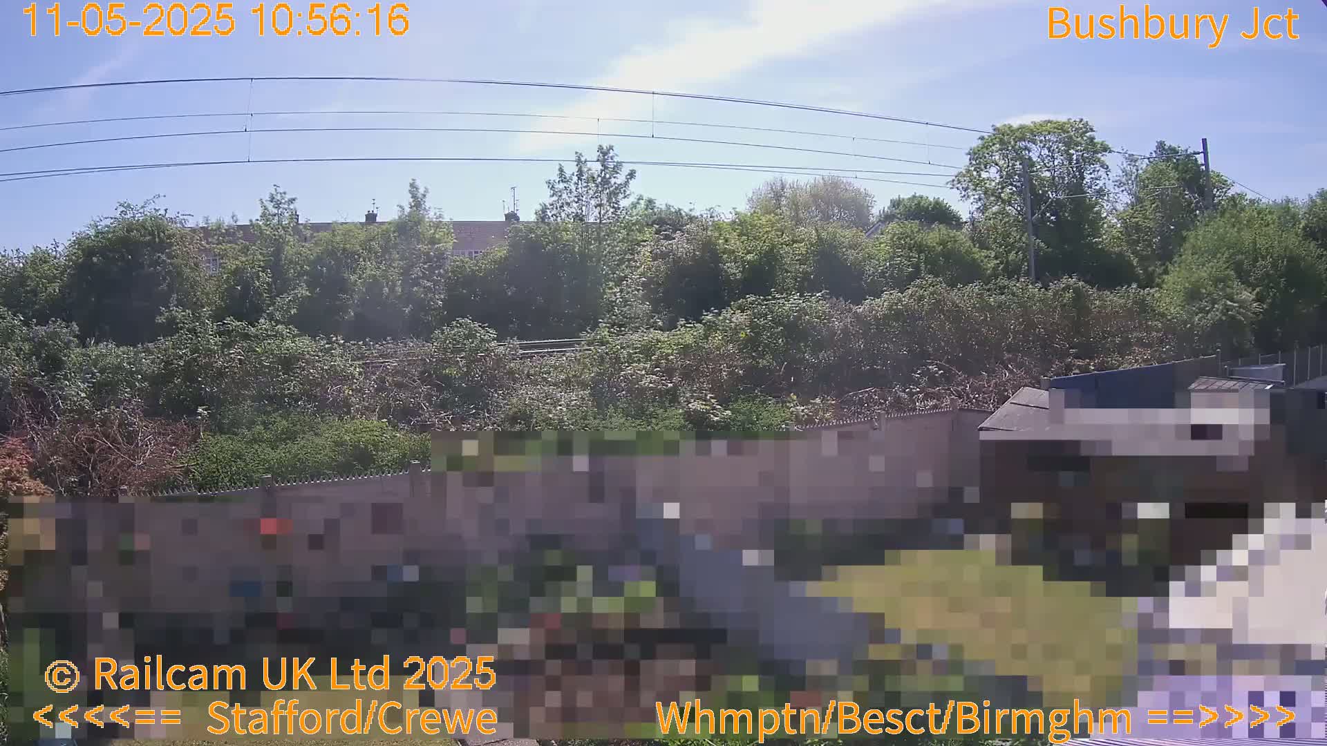 A sunny day view of a backyard with overgrown vegetation and a wall separating it from a railway line, beyond which is more greenery.