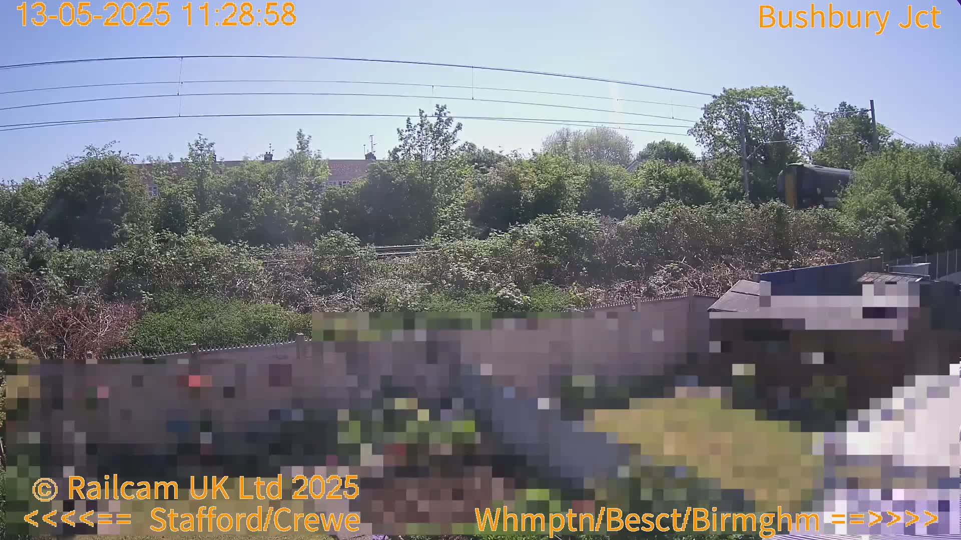 A sunny outdoor scene shows a train partially visible behind a wall of overgrown vegetation, with a small building and garden in the foreground.