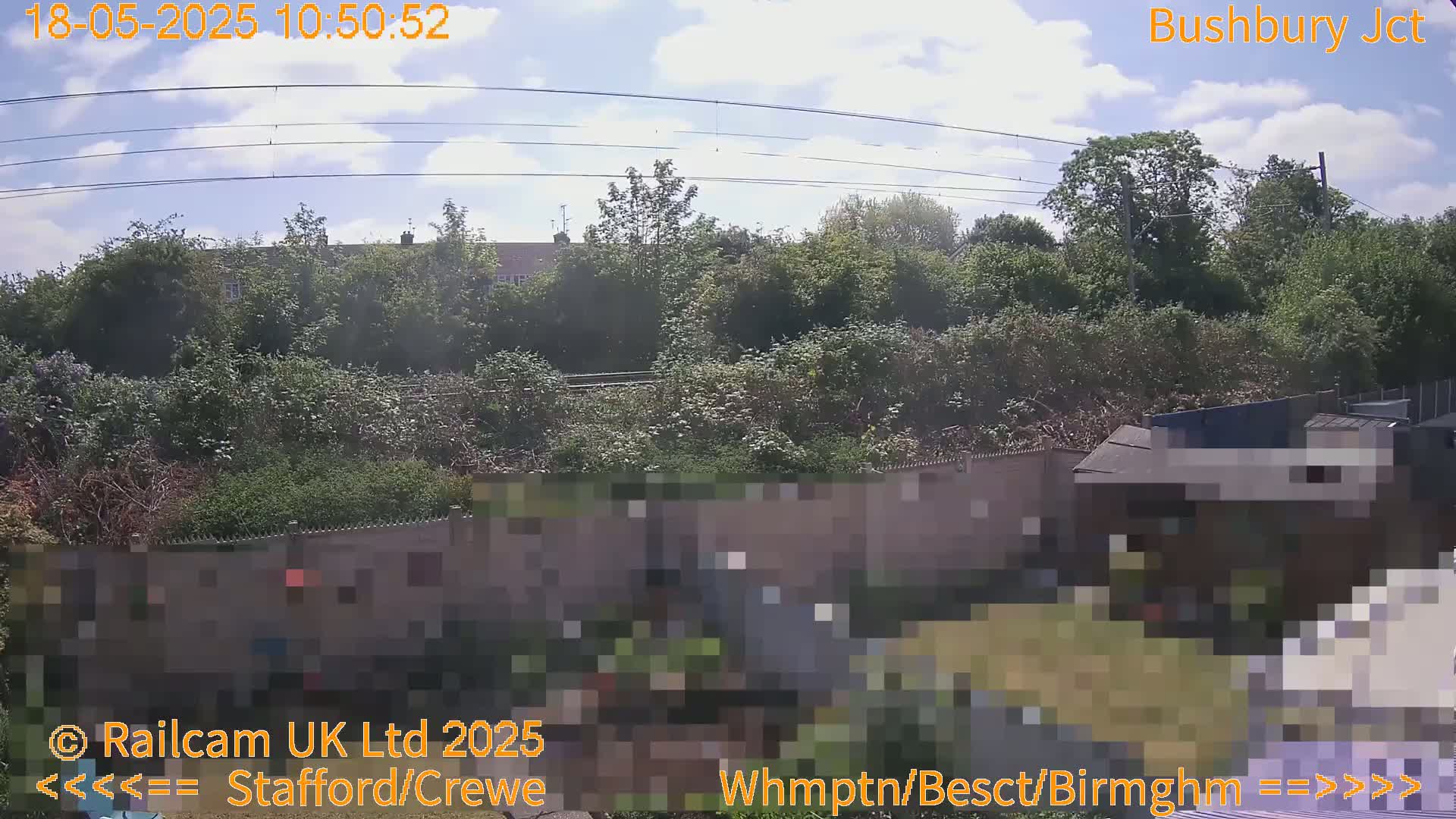 A partly sunny day shows a view of a backyard behind a fence with overgrown vegetation and buildings in the distance, under a partly cloudy sky with power lines overhead.