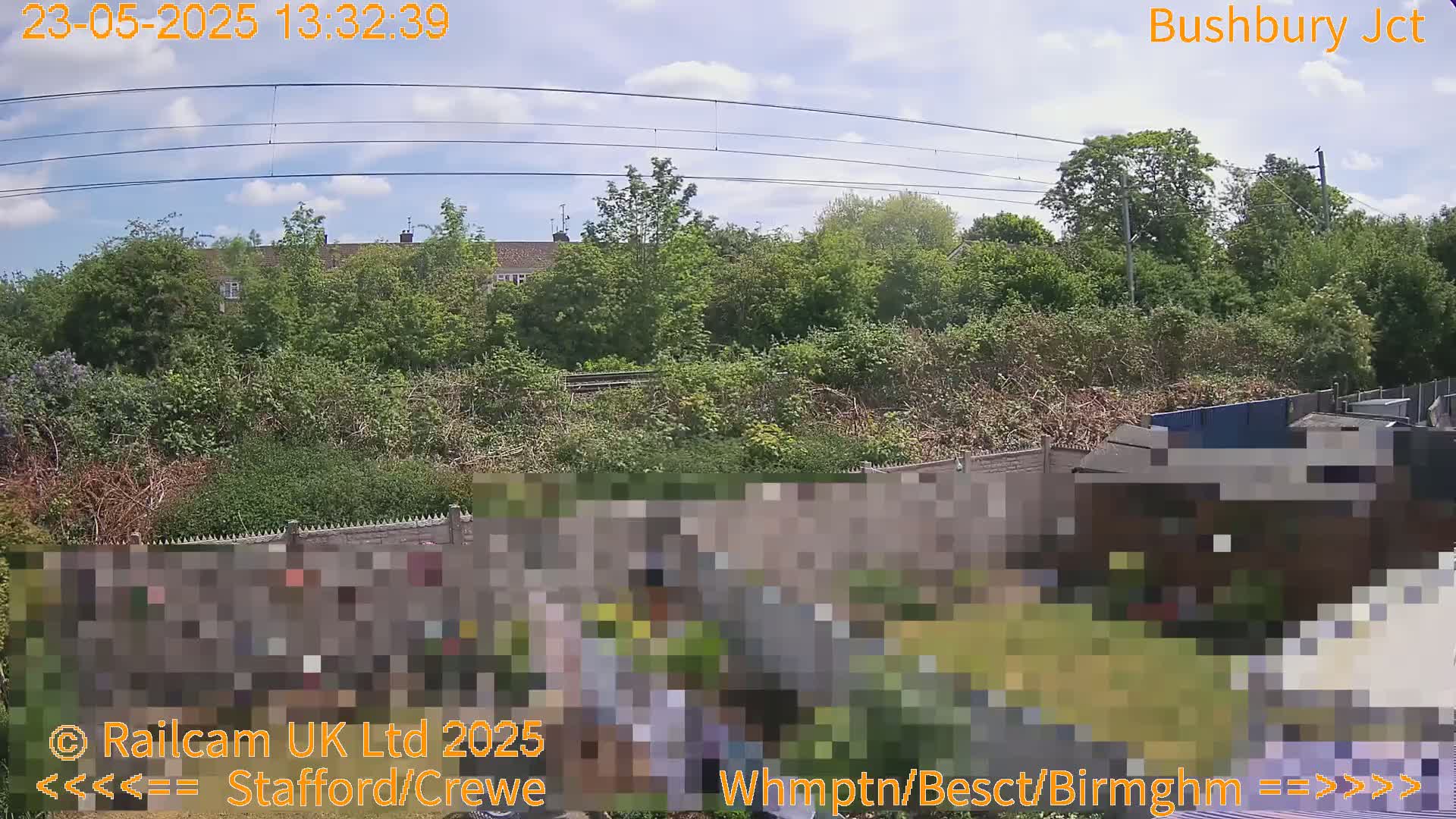 A partly sunny view of a backyard bordered by a fence and overgrown vegetation, with houses and power lines visible in the background.