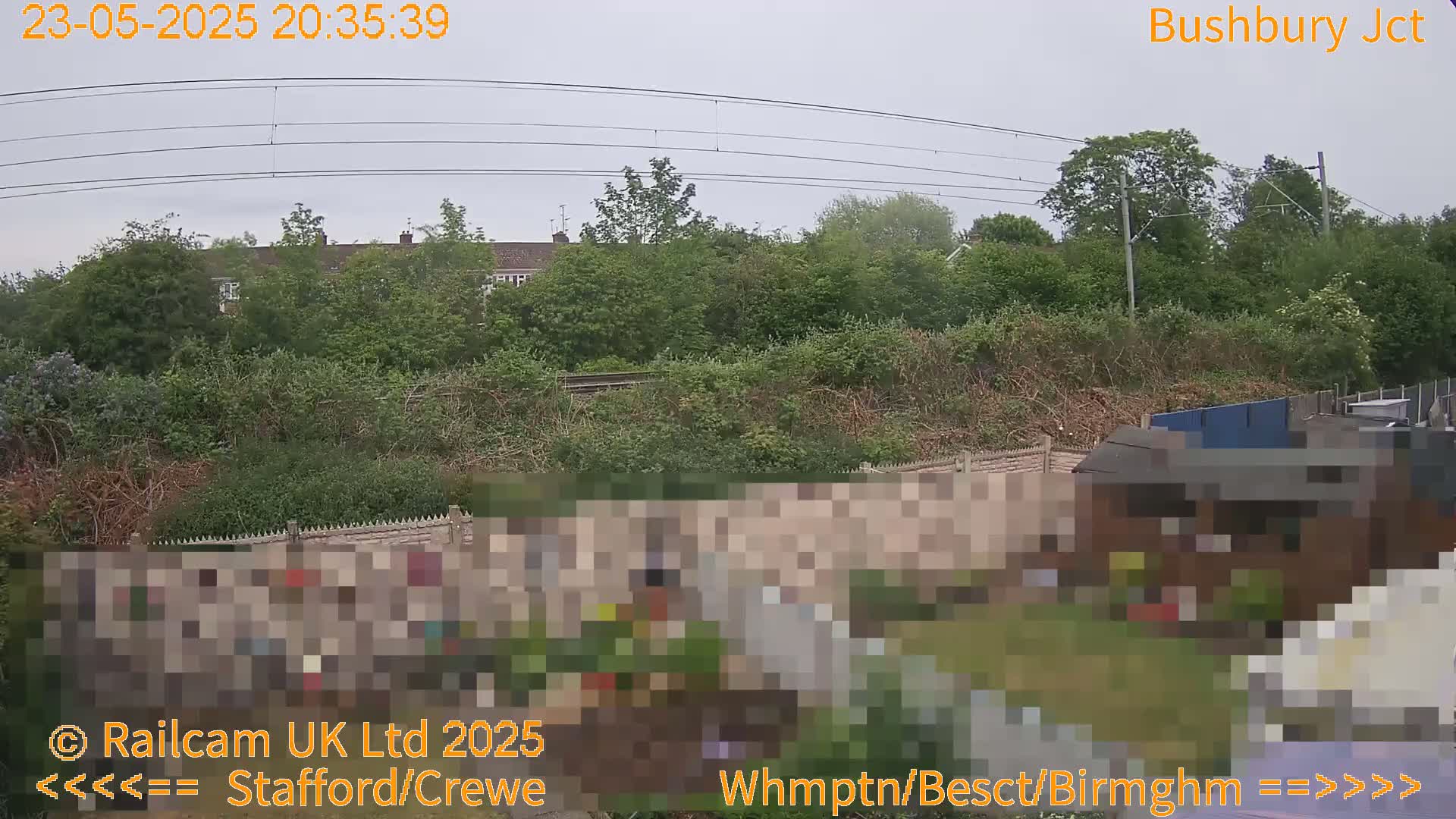 A view of an overgrown backyard with a shed and a fence, overlooking a railway line and houses in the distance under an overcast sky.
