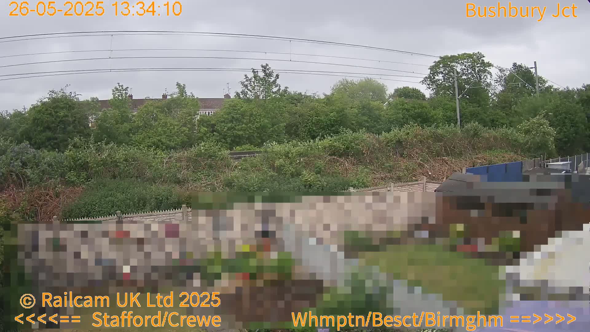 A view of a garden with a fence and some overgrown vegetation, under an overcast sky, with overhead power lines and houses visible in the distance.