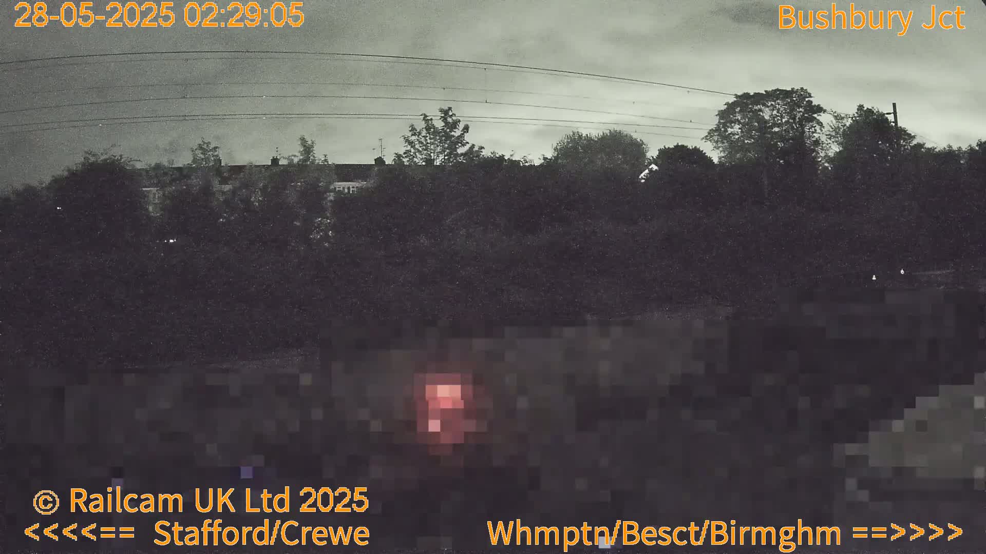A nighttime view of trees and houses under a cloudy sky, with a faint red light visible in the lower portion of the image.