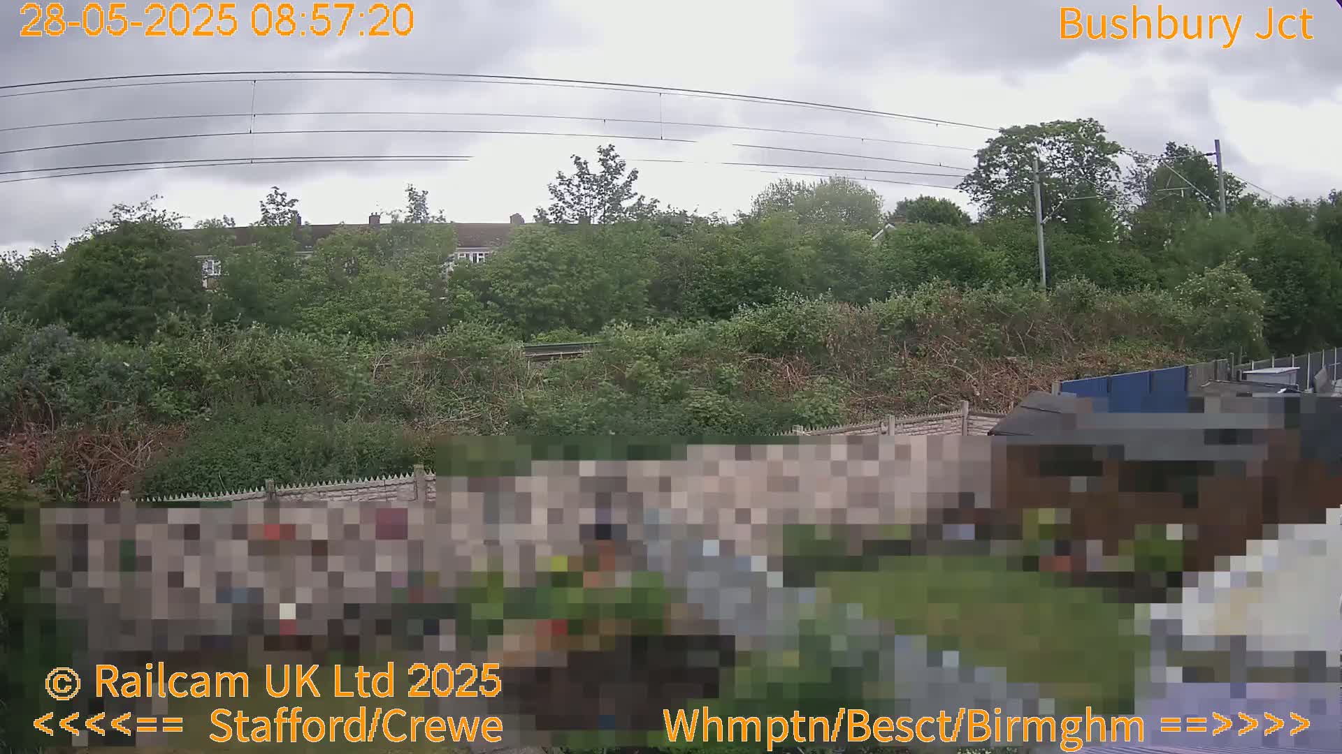 A view of an overcast day shows lush green vegetation, a fence, and a small structure behind a partially obscured garden.